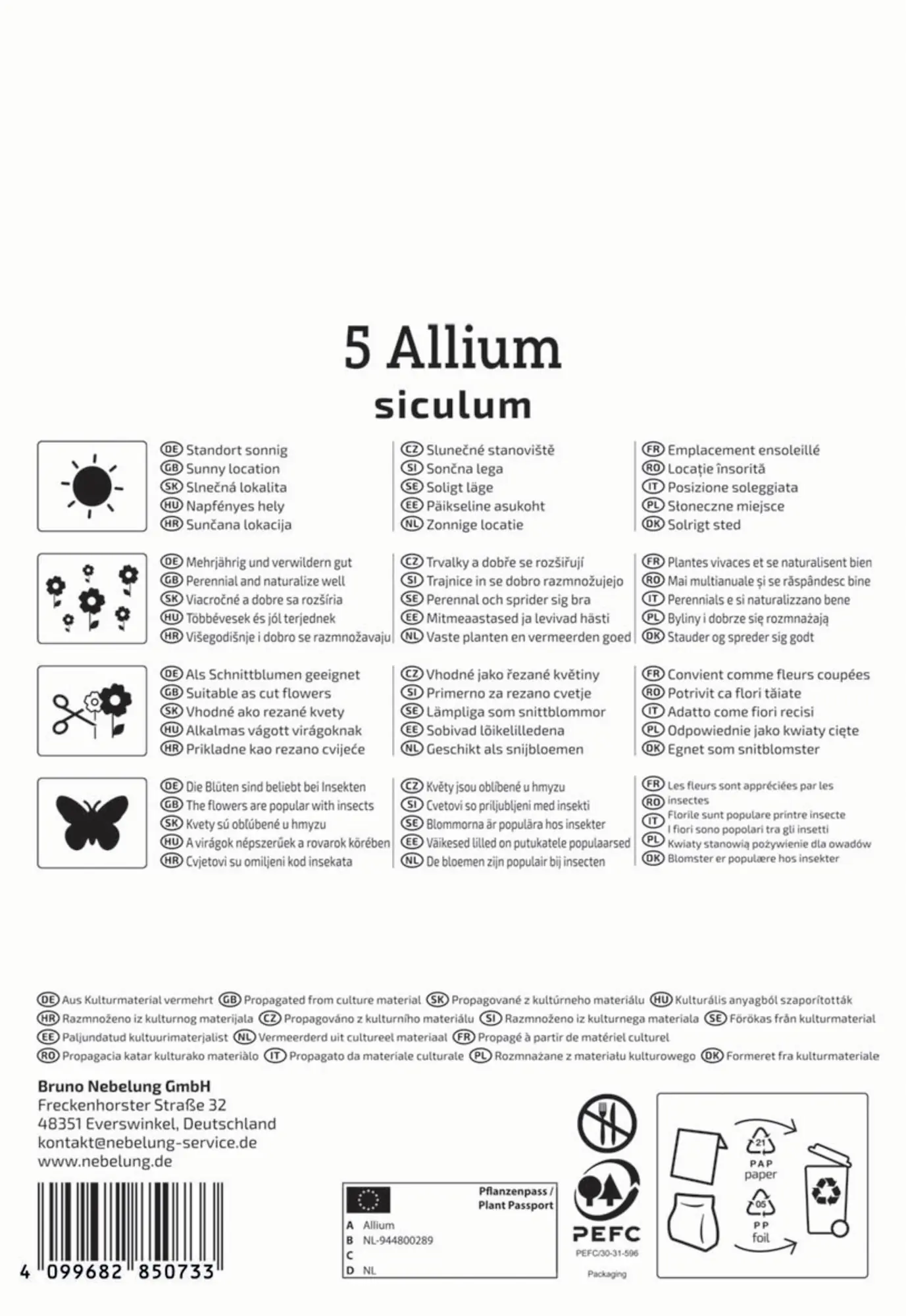 Kiepenkerl Herbstblumenzwiebel Sizilianischer Honiglauch 5 Stück