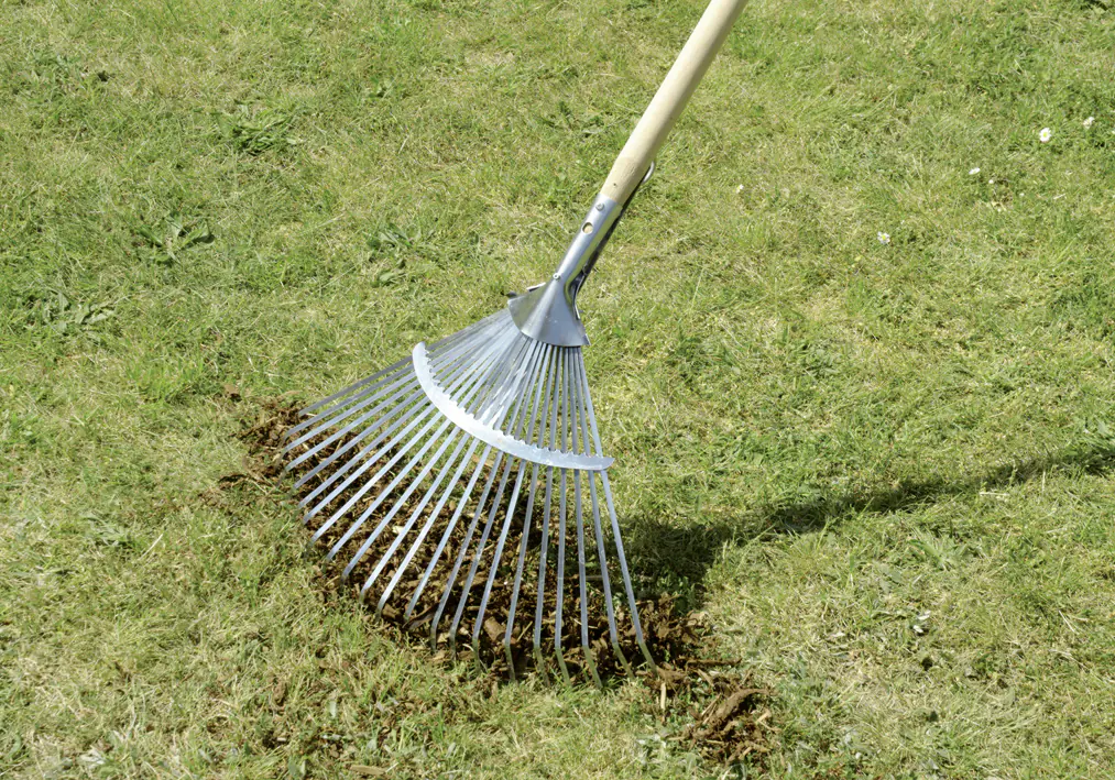 Laubbesen mit Stiel Classic 46 cm Arbeitsbreite