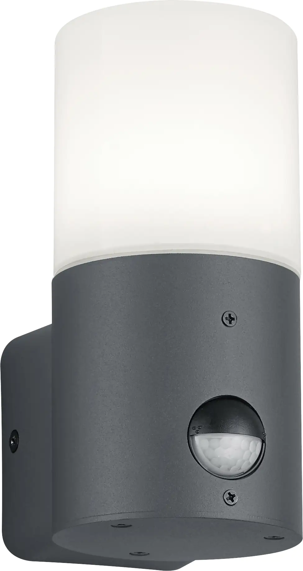 Trio Leuchten Sensor-Außen-Wandleuchte Hoosic E27 anthrazit Bewegungsmelder