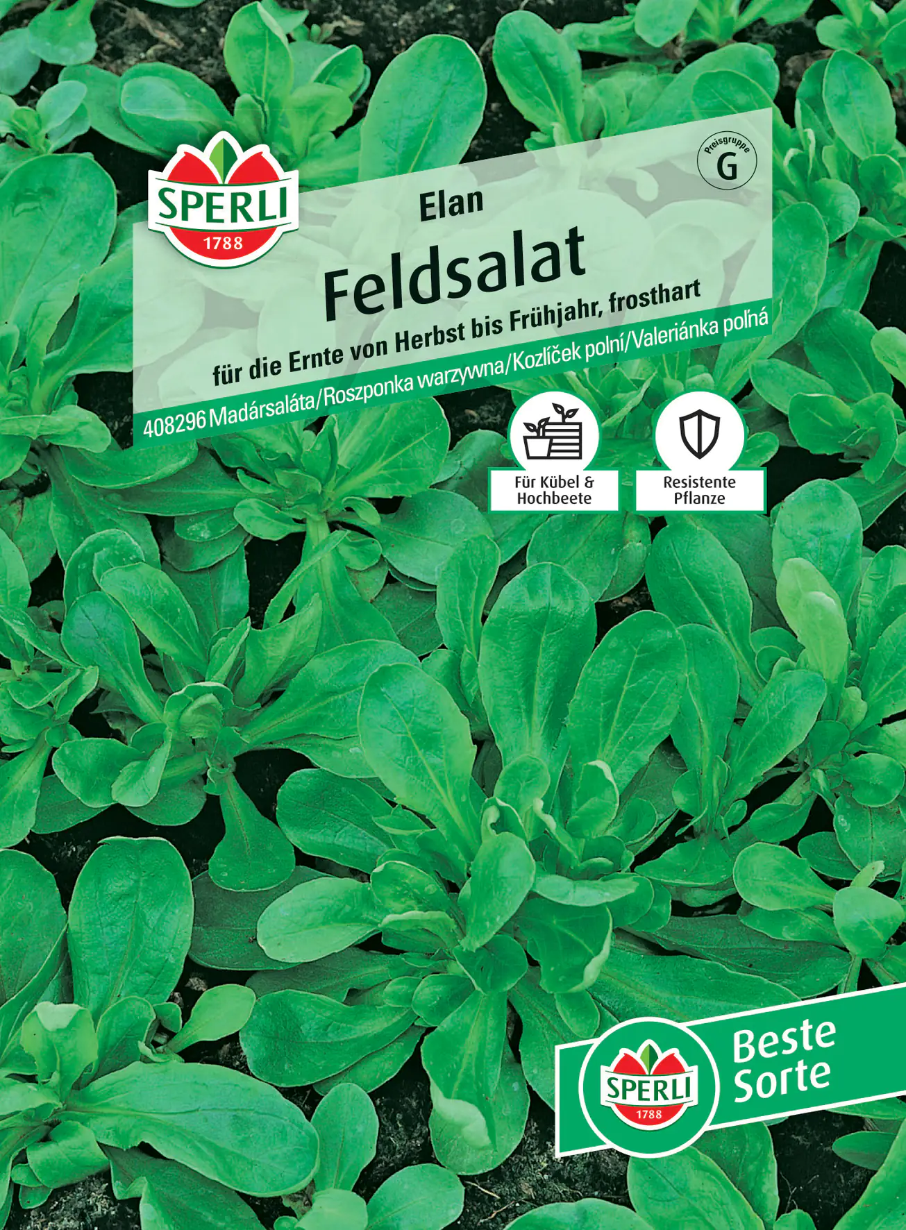 Sperli Feldsalat Elan Sperli Feldsalat Elan