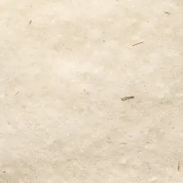 Windhager Schafwoll-Vliesdecke weiß 2 x 1 m , 100g/m²