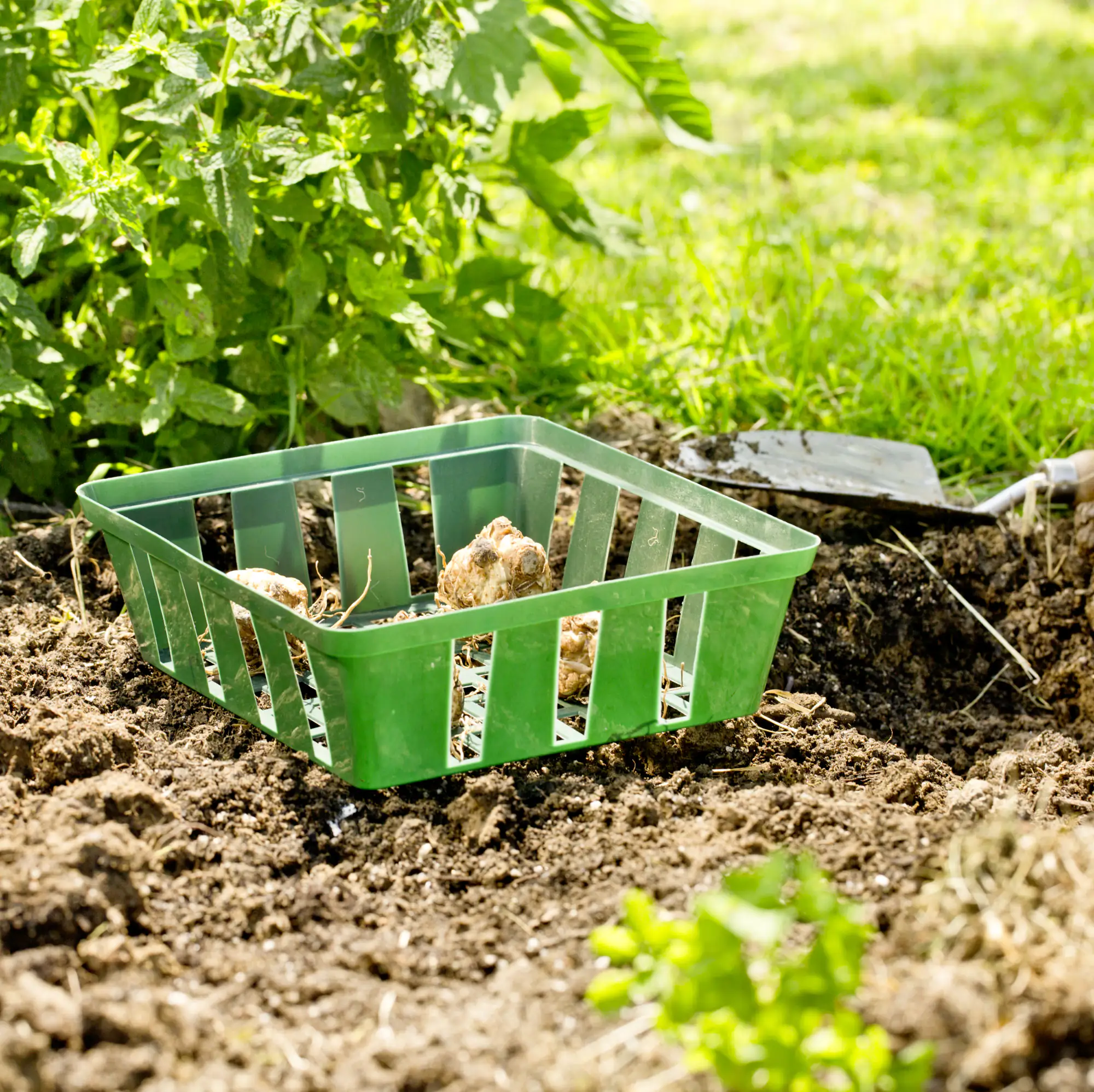 9003117055704 Windhager Pflanzschale 23,5 x 21 cm 3 Stück
