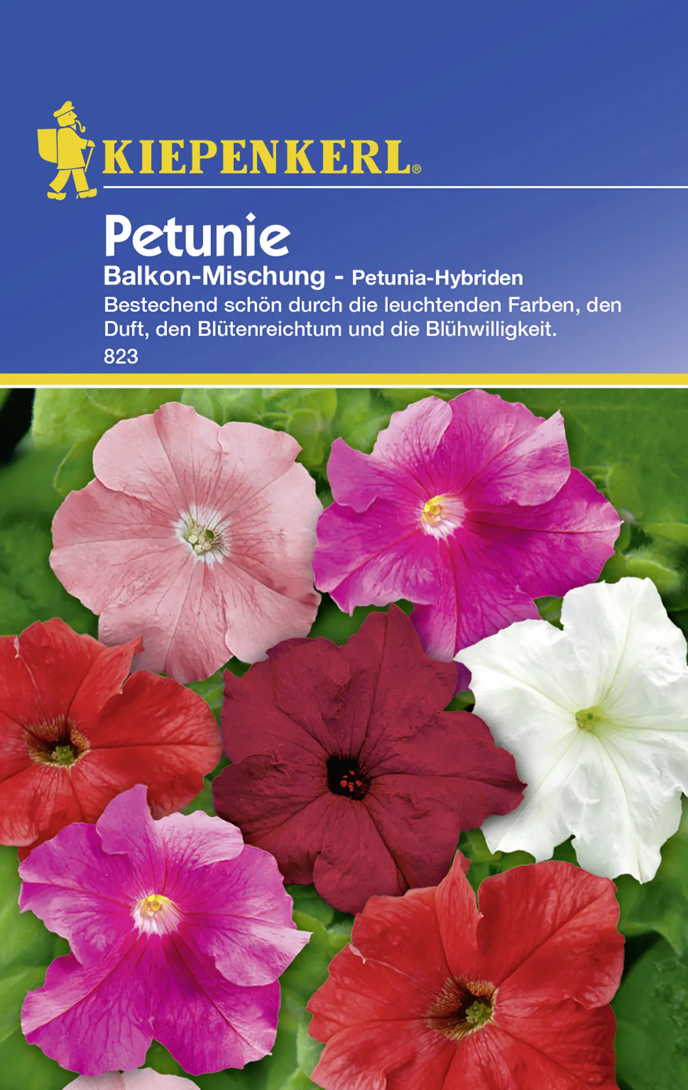 Kiepenkerl Petunie Balkon-Mischung Petunia-Hybriden, Inhalt: ca. 40 Pflanzen