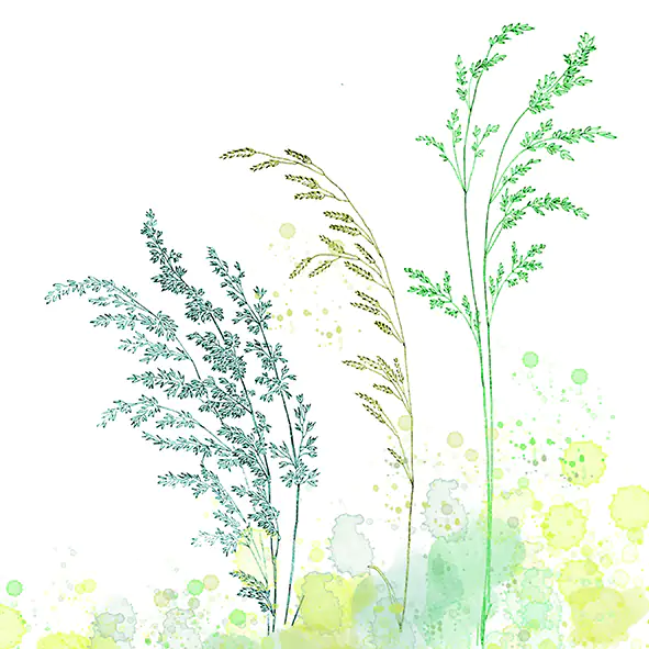 Braun & Company Servietten Motiv Green Breeze 33 x 33 cm - 20er Pack