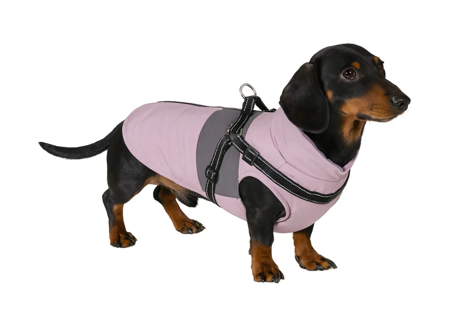 Nobby Hundemantel Change 2 in 1 Rückenlänge 36 cm, flieder