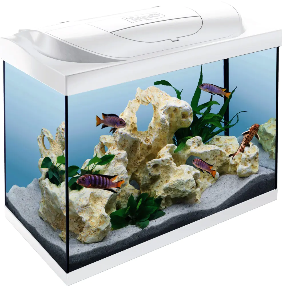 Tetra Aquarium Starter Line LED 80 L weiß Tetra Aquarium Starter Line LED 80 L weiß