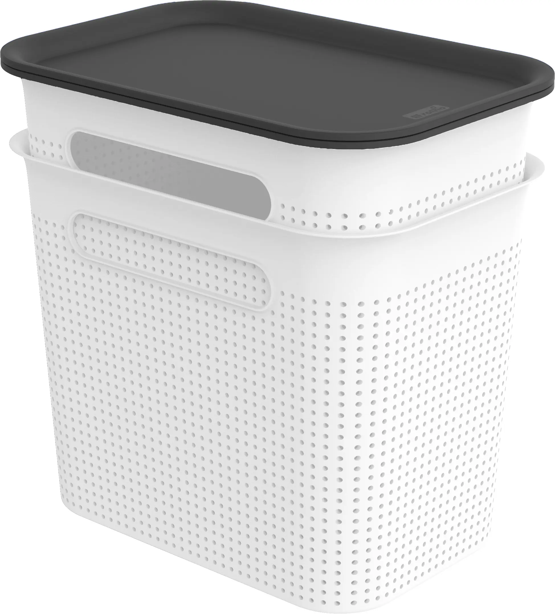 Rotho Aufbewahrungsbox Brisen mit Deckel 26,6 x 18,5 cm 7 L mistletoe weiß 2er Set