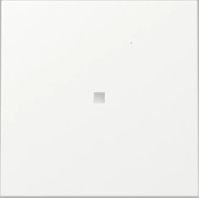 Gira Kontrollwippe Flächenschalter System 55 reinweiß 329027