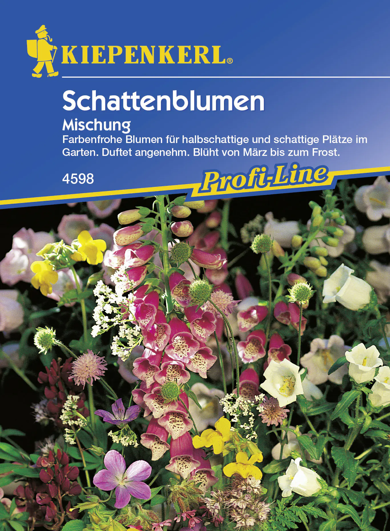 Kiepenkerl Saatgut Schattenblumen 3-4 m²