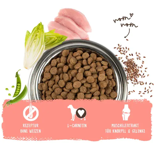 Bosch Active Trockenfutter für aktive Hunde Adult 1 kg mit Geflügel Bosch Active Trockenfutter für aktive Hunde Adult 1 kg mit Geflügel