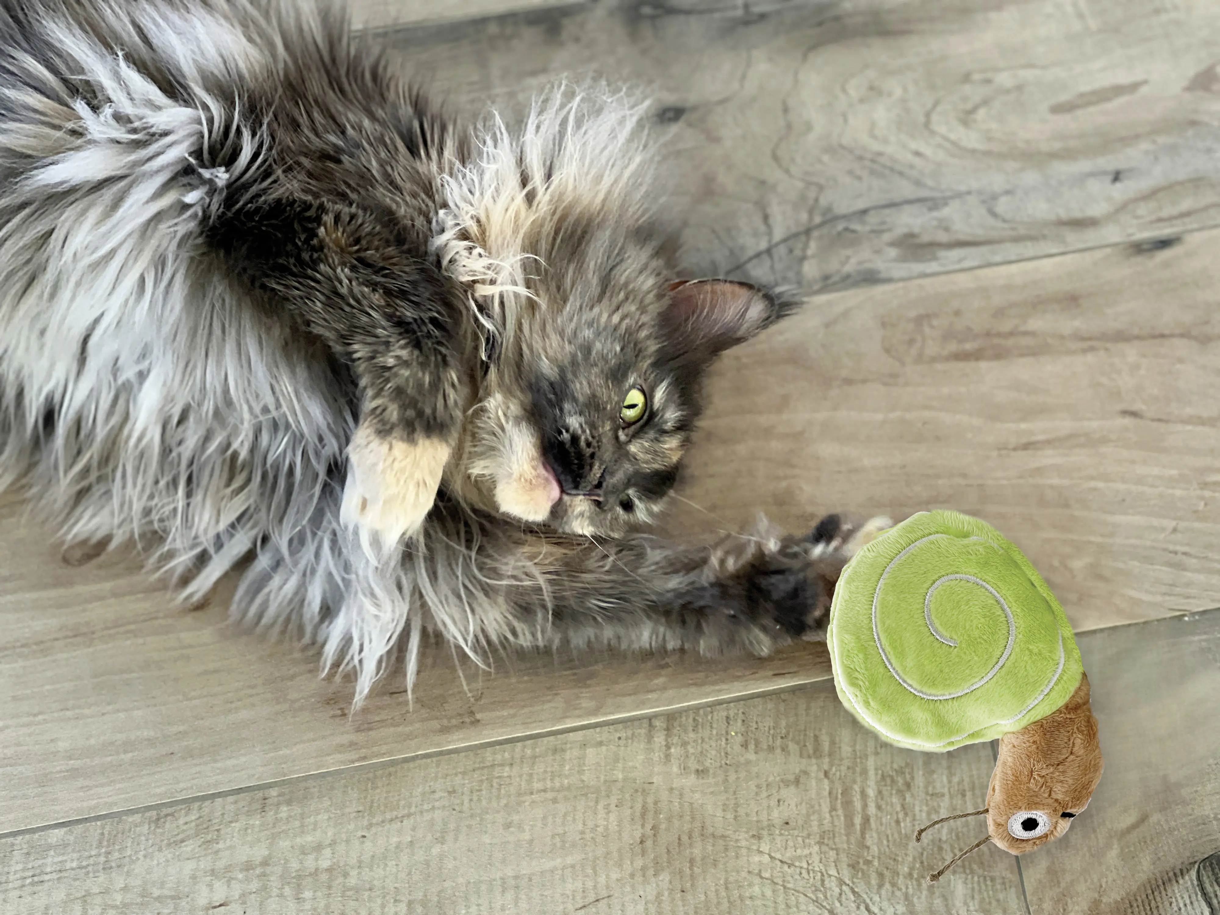 Aumüller Katzenkissen Schnecke grün-braun mit Füllung 16 x 11 x 4 cm