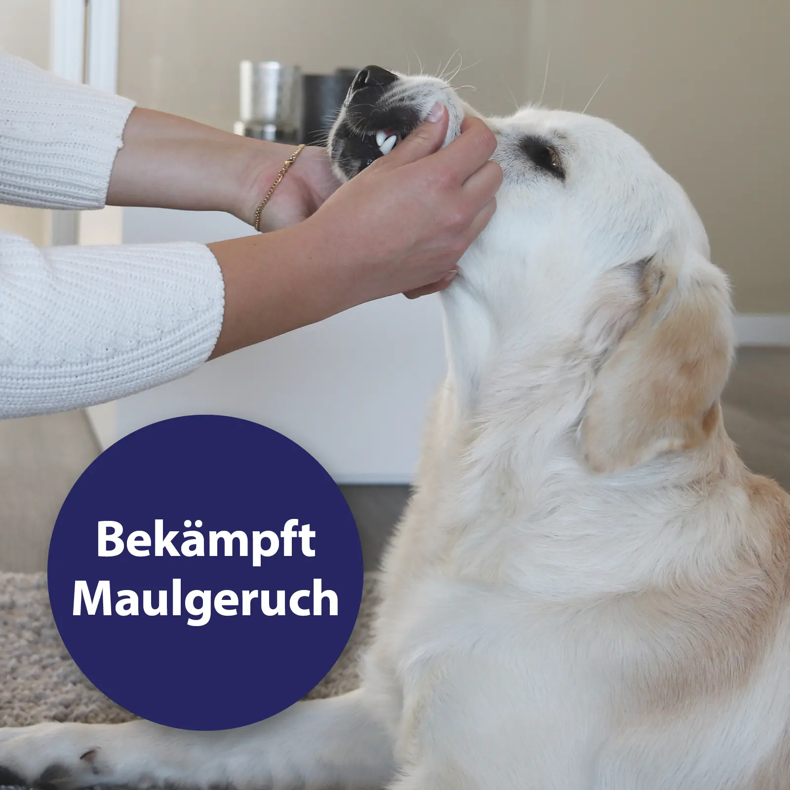 Canosept Zahnspray für Hunde 100 ml Canosept Zahnspray für Hunde 100 ml