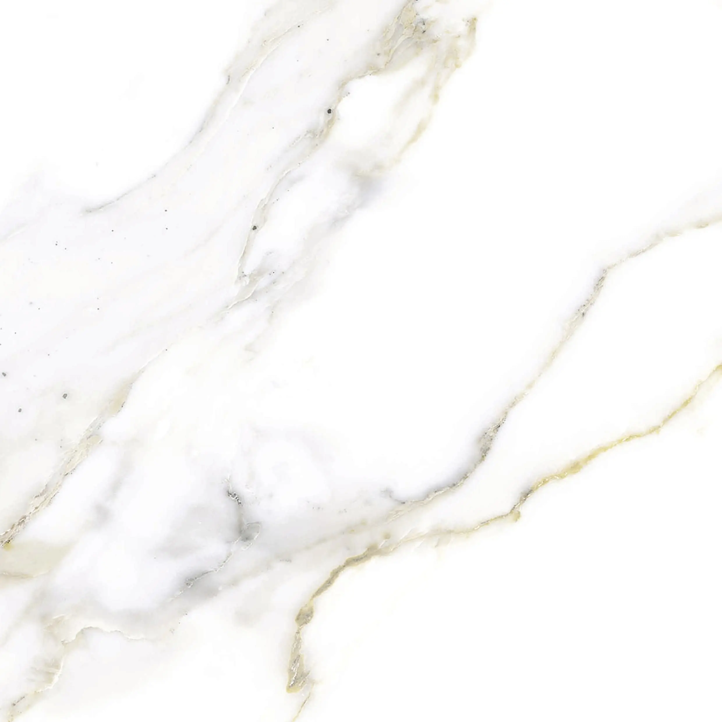Wetwall Elite Wandpaneel  Bianco Carrara 120 x 242 cm mit abgerundeter Abschlusskante