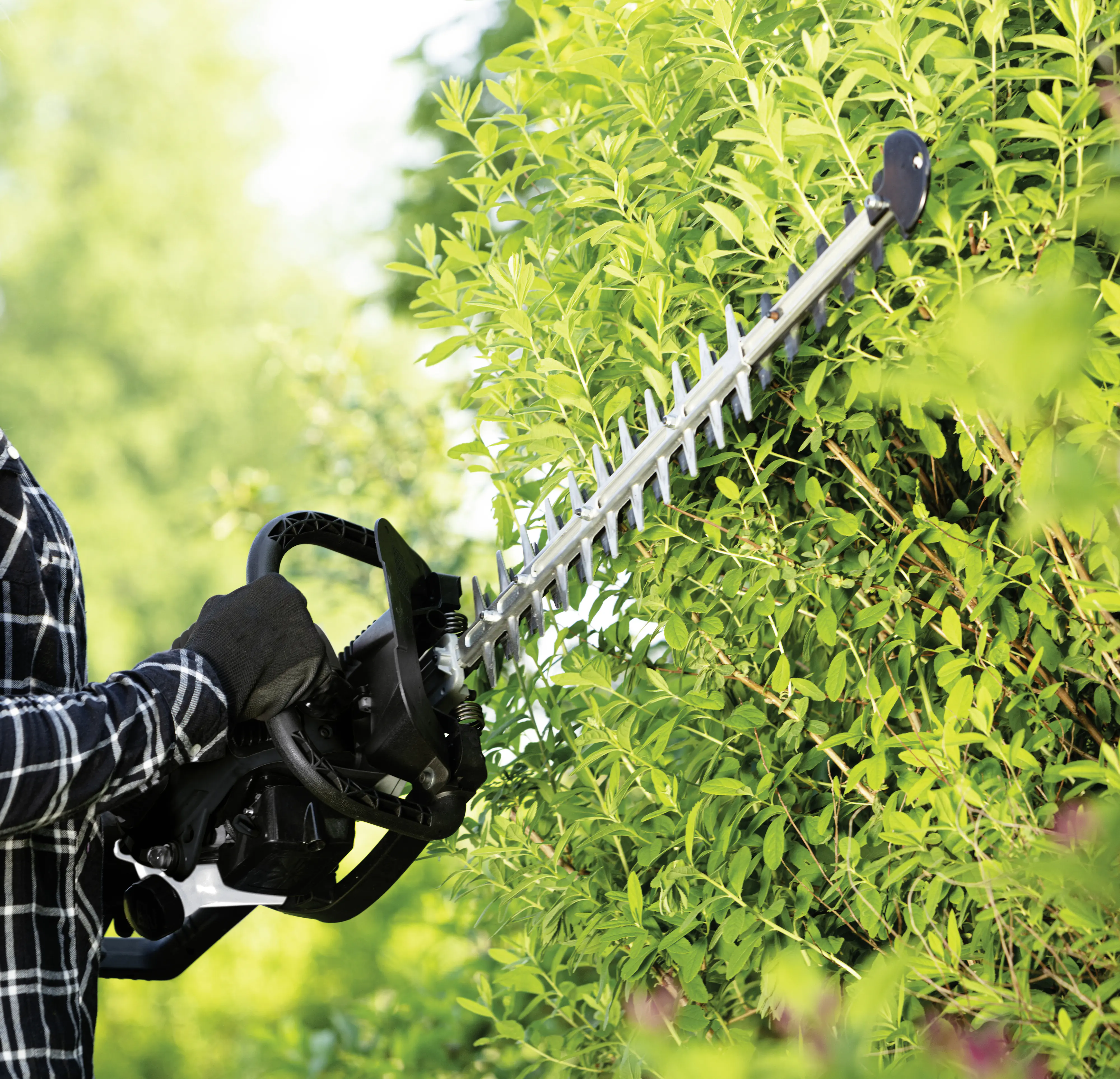 Woodster Benzin-Heckenschere BHS23-600 56 cm Schnittlänge grau/schwarz