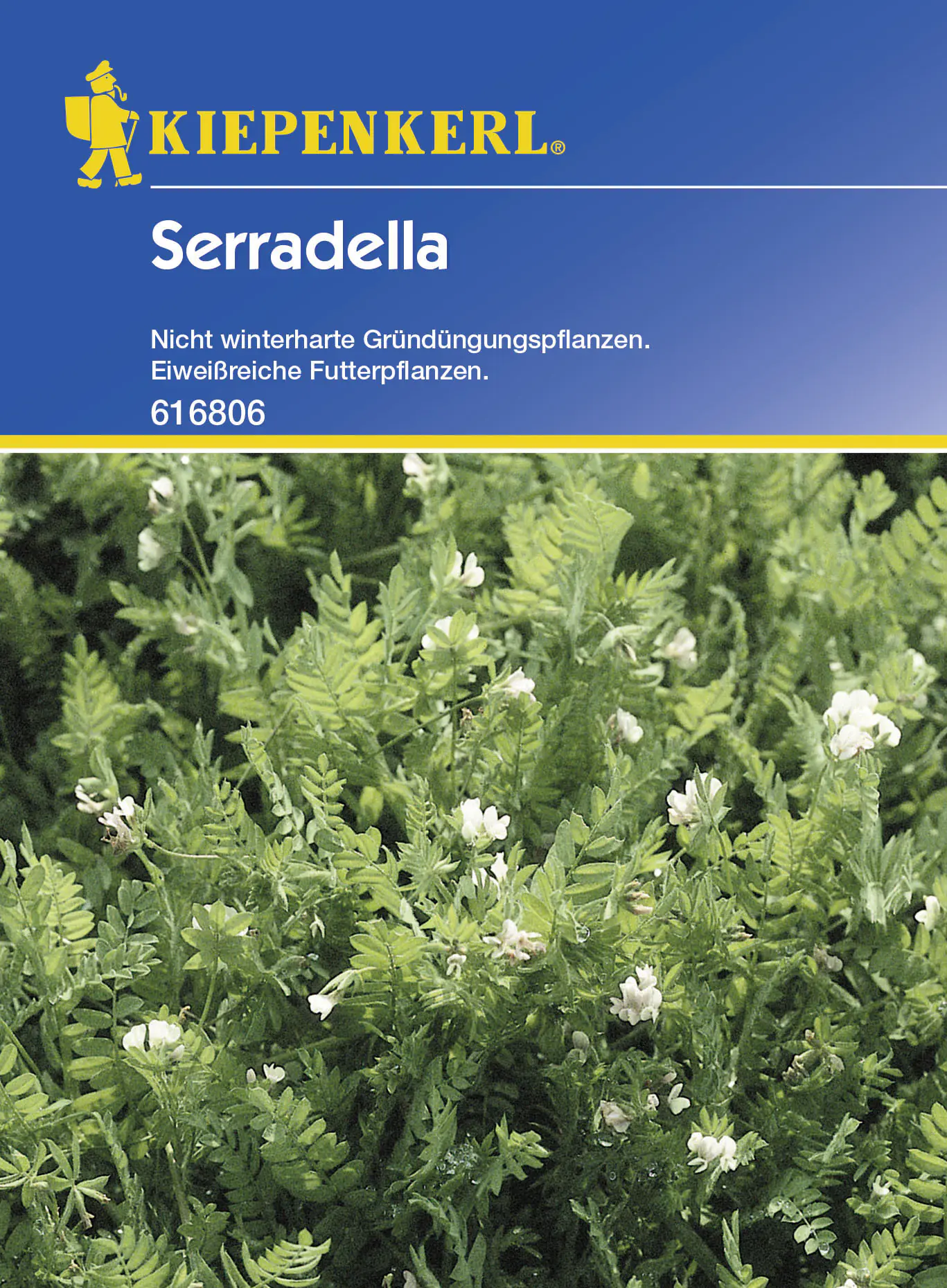 Kiepenkerl Serradella Ornithupus sativus, Inhalt: 60 g