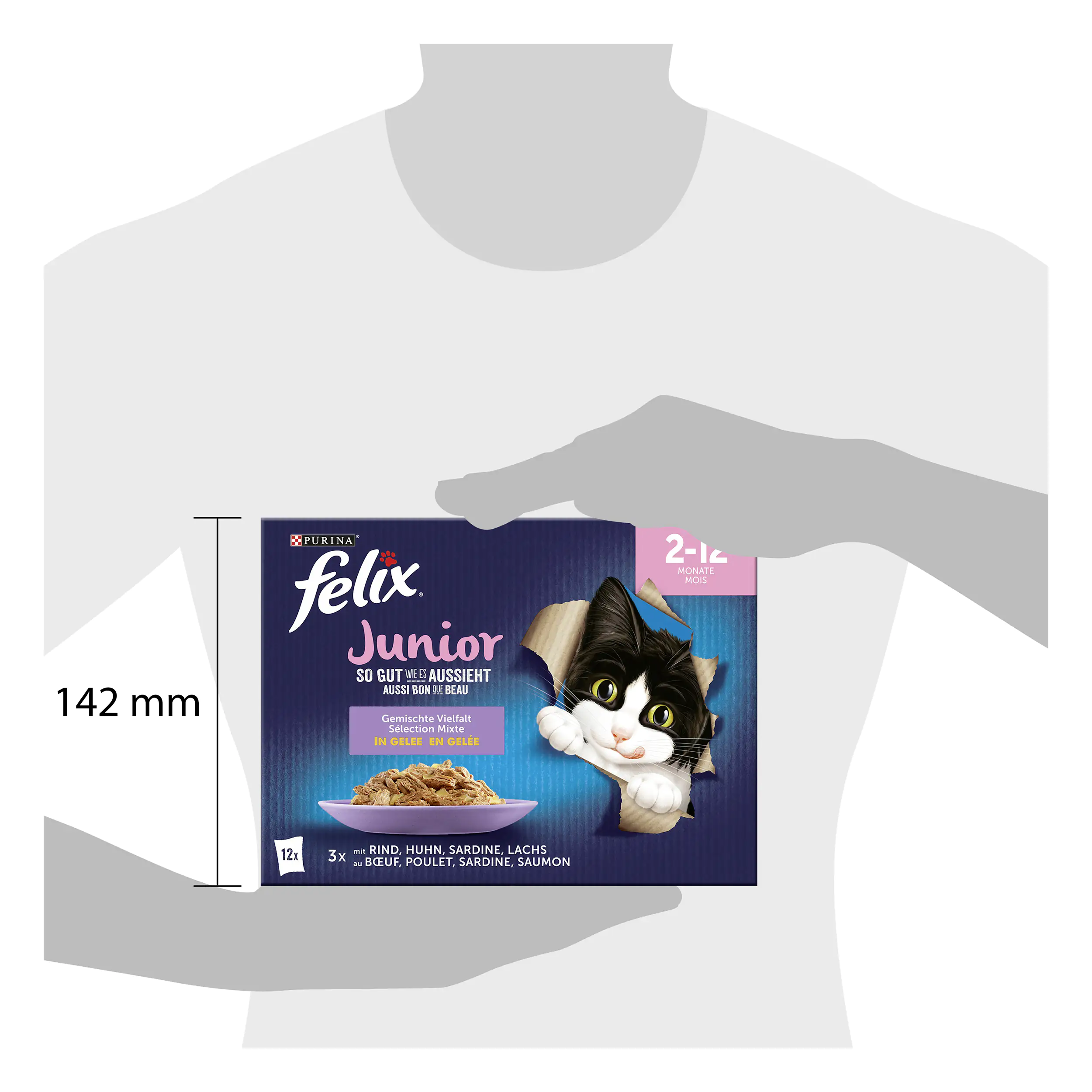 Felix Junior Gemischte Vielfalt in Gelee Katzenfutter 12 x 85g