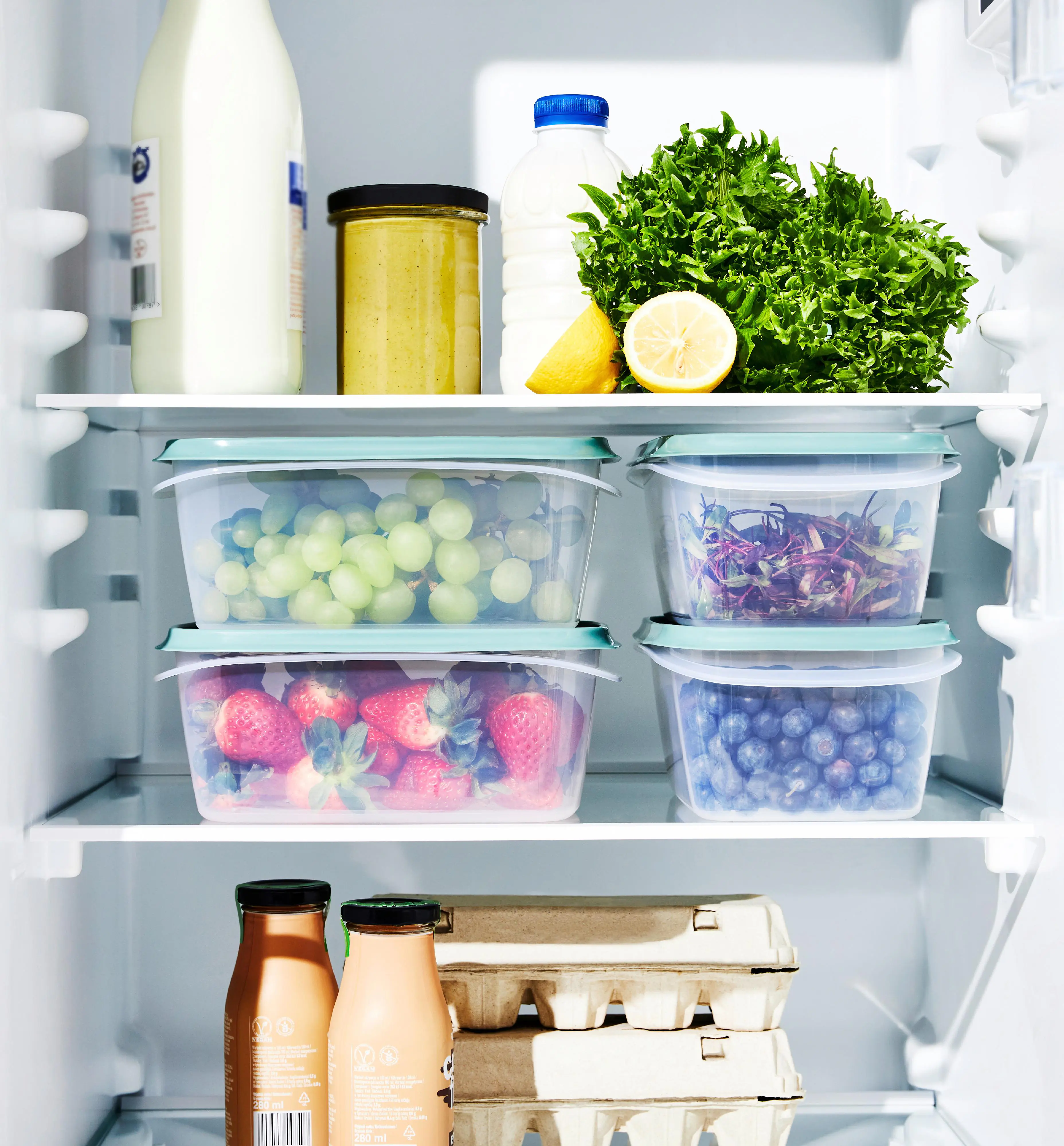 Rotho Kühlschrankdose Elements 2 L transparent