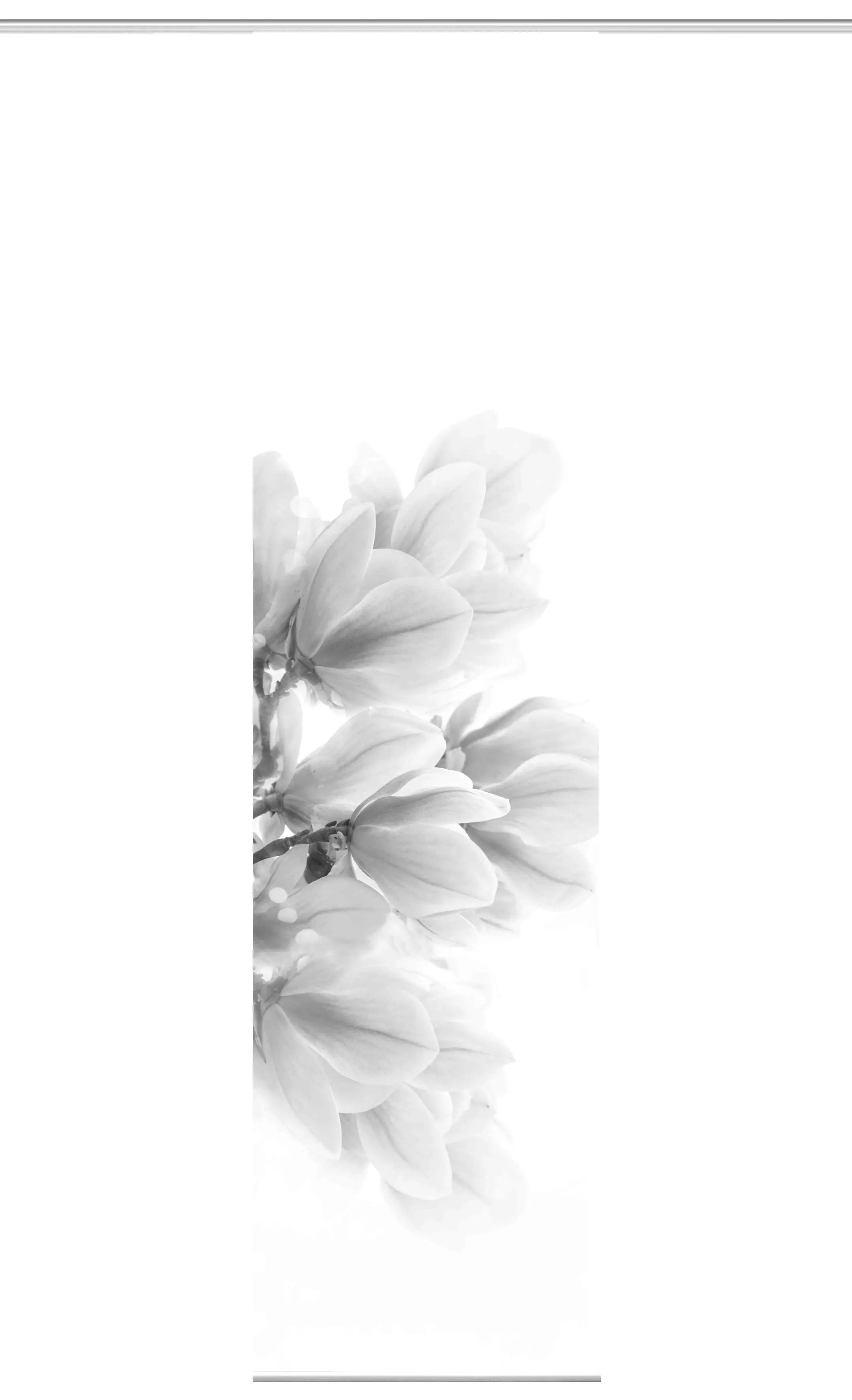 Home Wohnideen Schiebegardine Kessi 245 x 60 cm grau