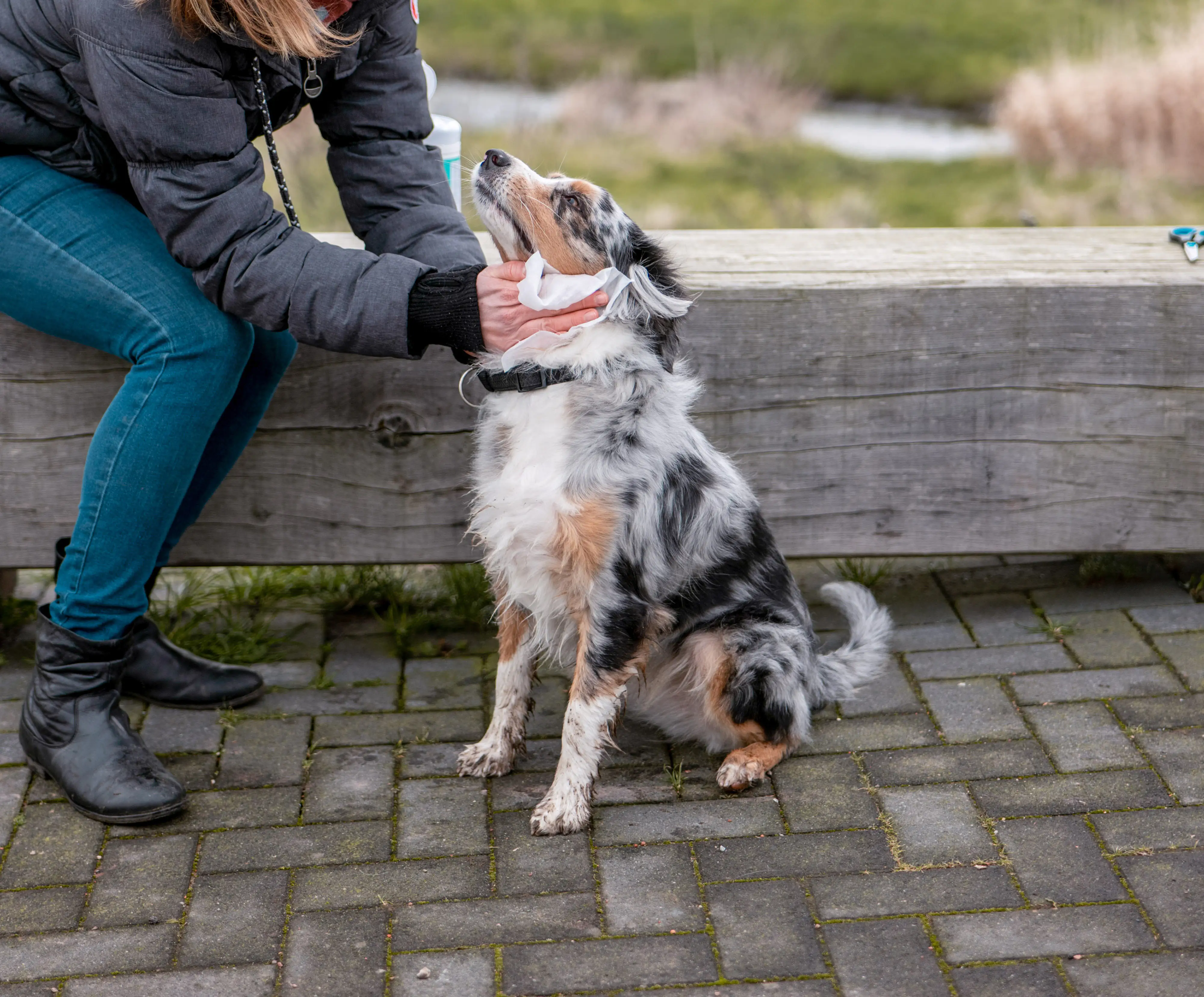 Nobby Universal Reinigungstuch 70 Tücher je Packung. Nobby Universal Reinigungstuch 70 Tücher je Packung.