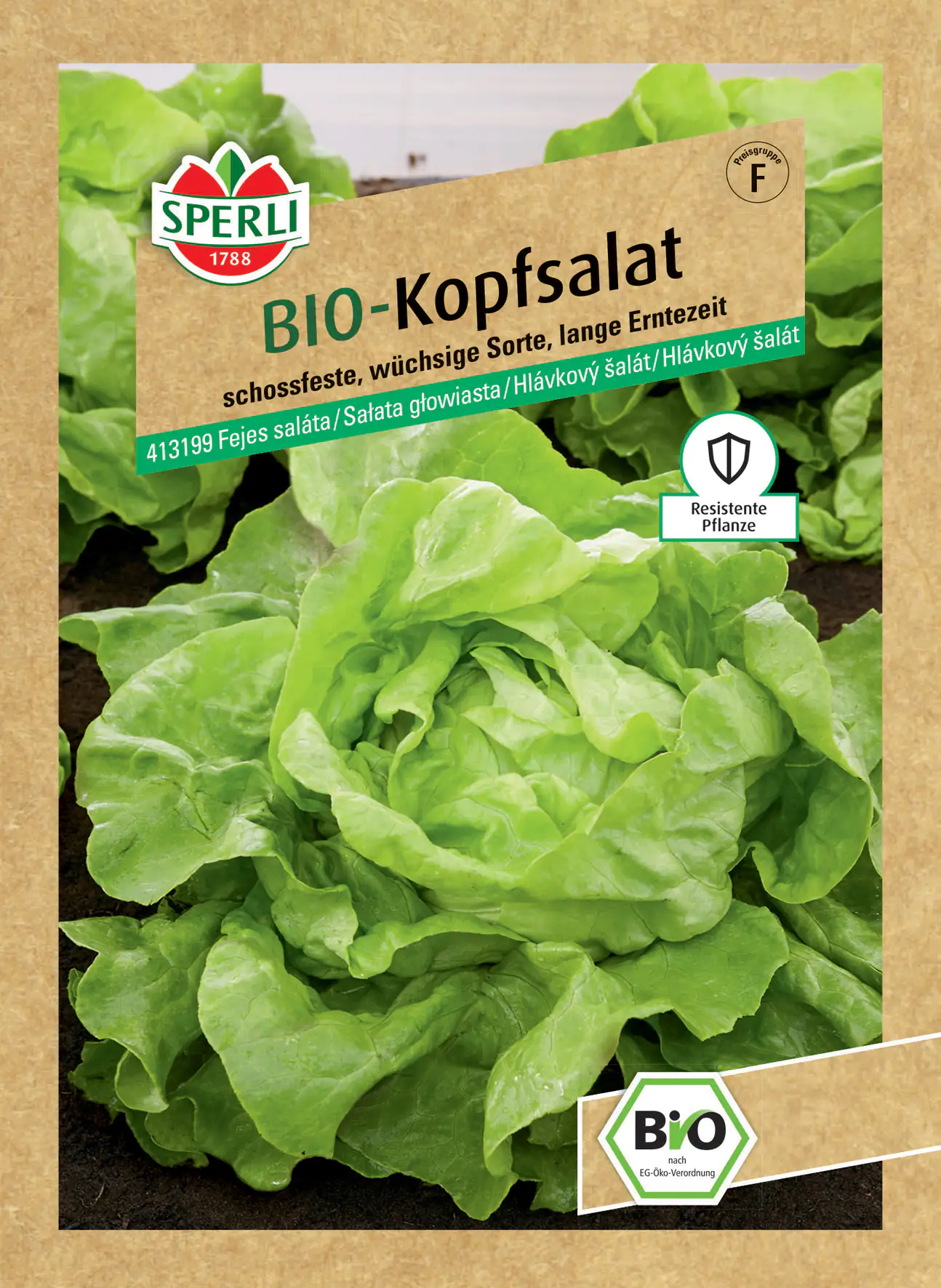 Sperli BIO Kopfsalat Sperli BIO Kopfsalat