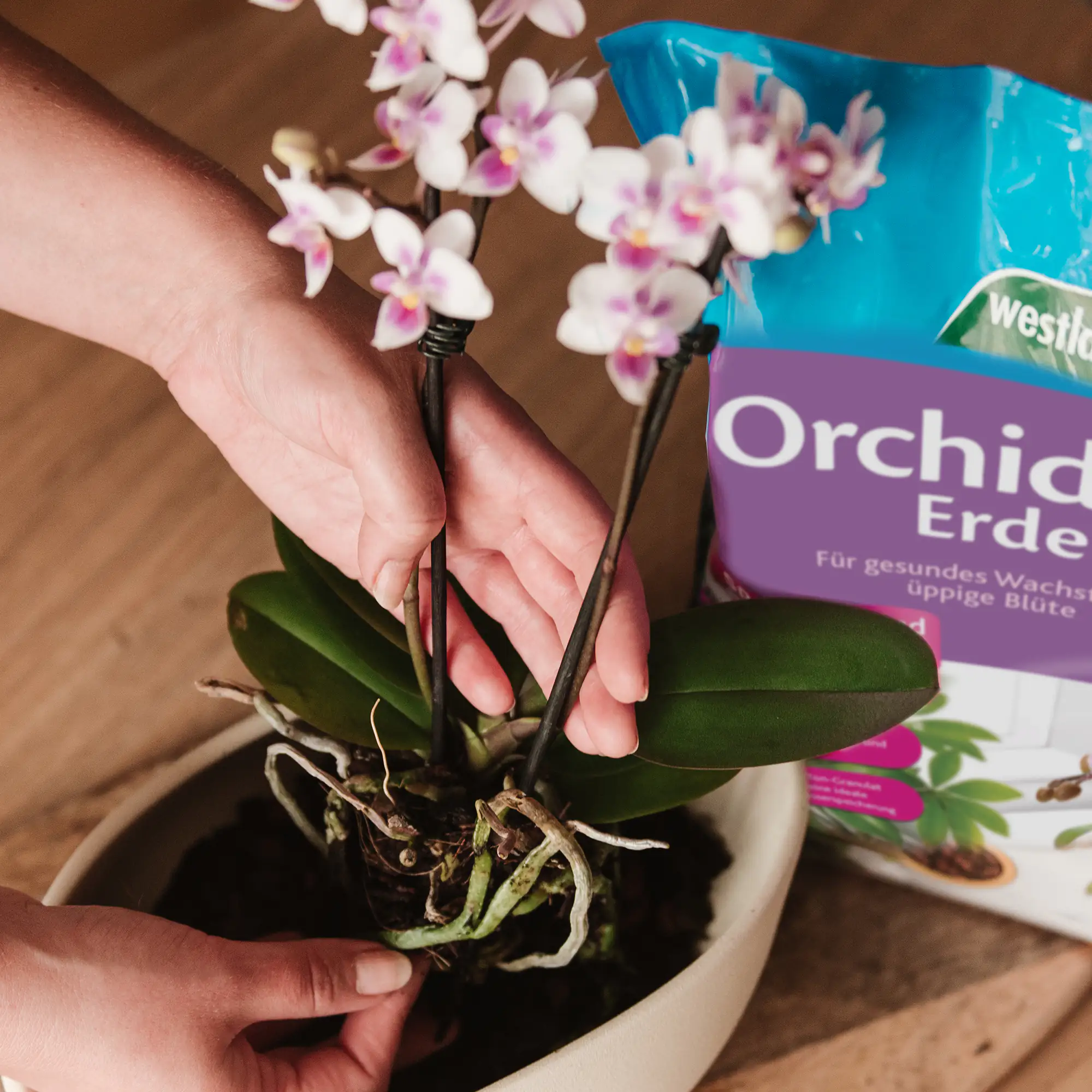 Westland Orchideenerde 8 l Westland Orchideenerde 8 l