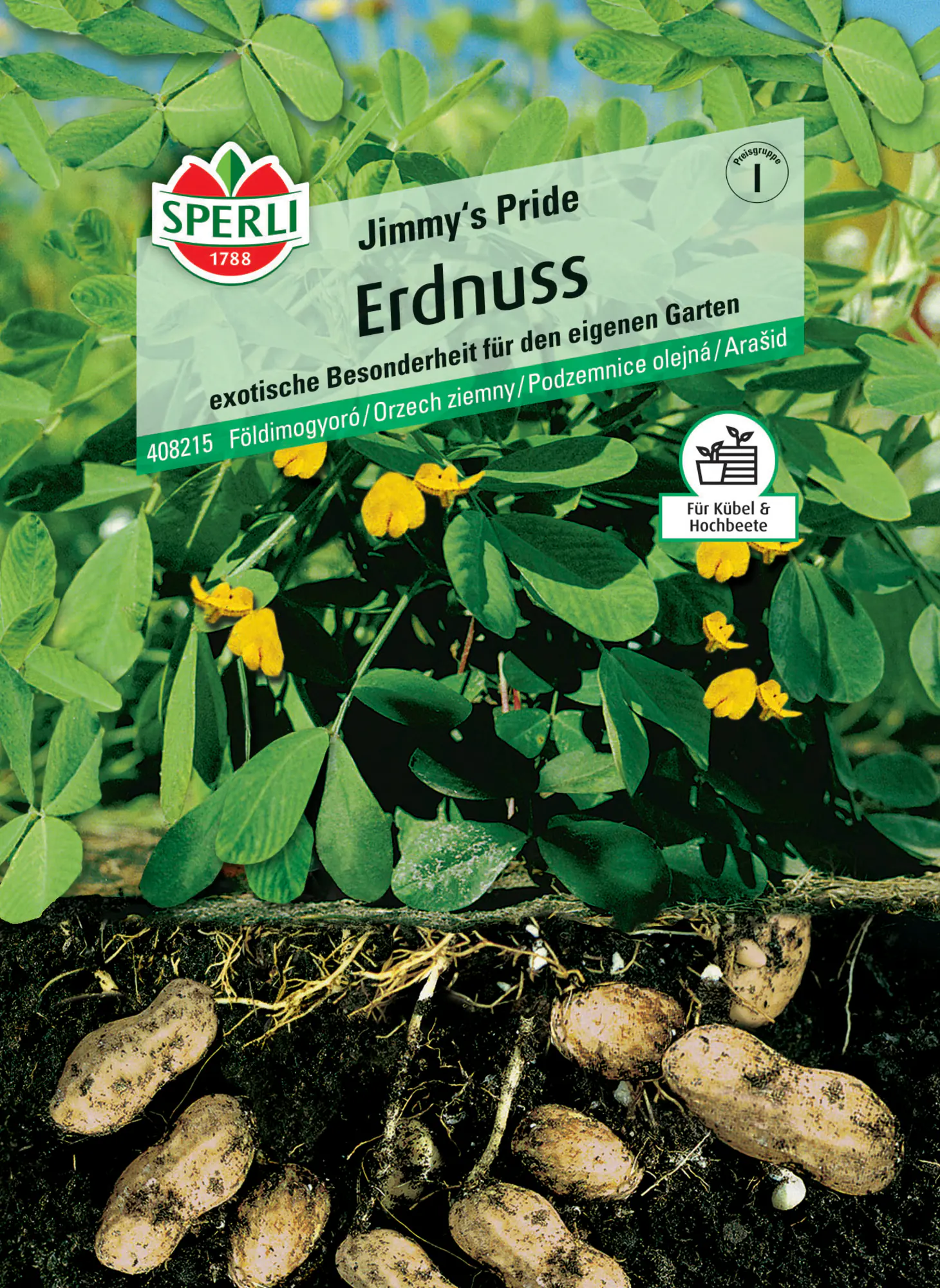 Sperli Saatgut Erdnuss Jimmy's Pride für ca. 5 Pflanzen
