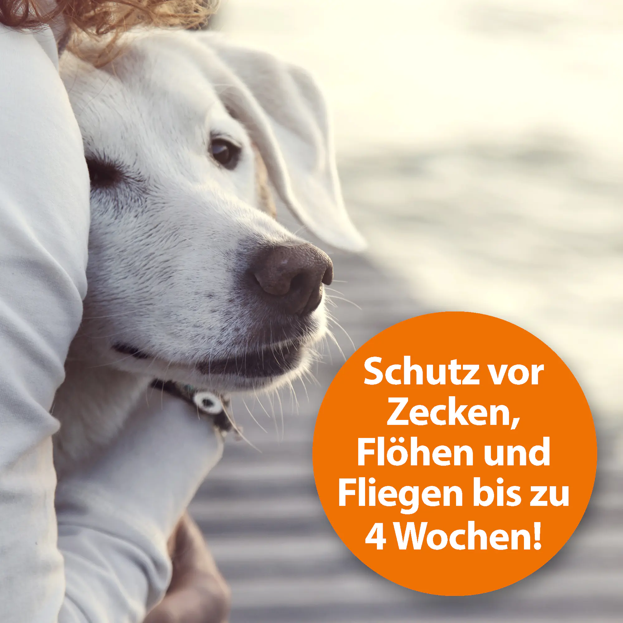 ARDAP Zeckenspray für Tiere 250 ml ARDAP Zeckenspray für Tiere 250 ml