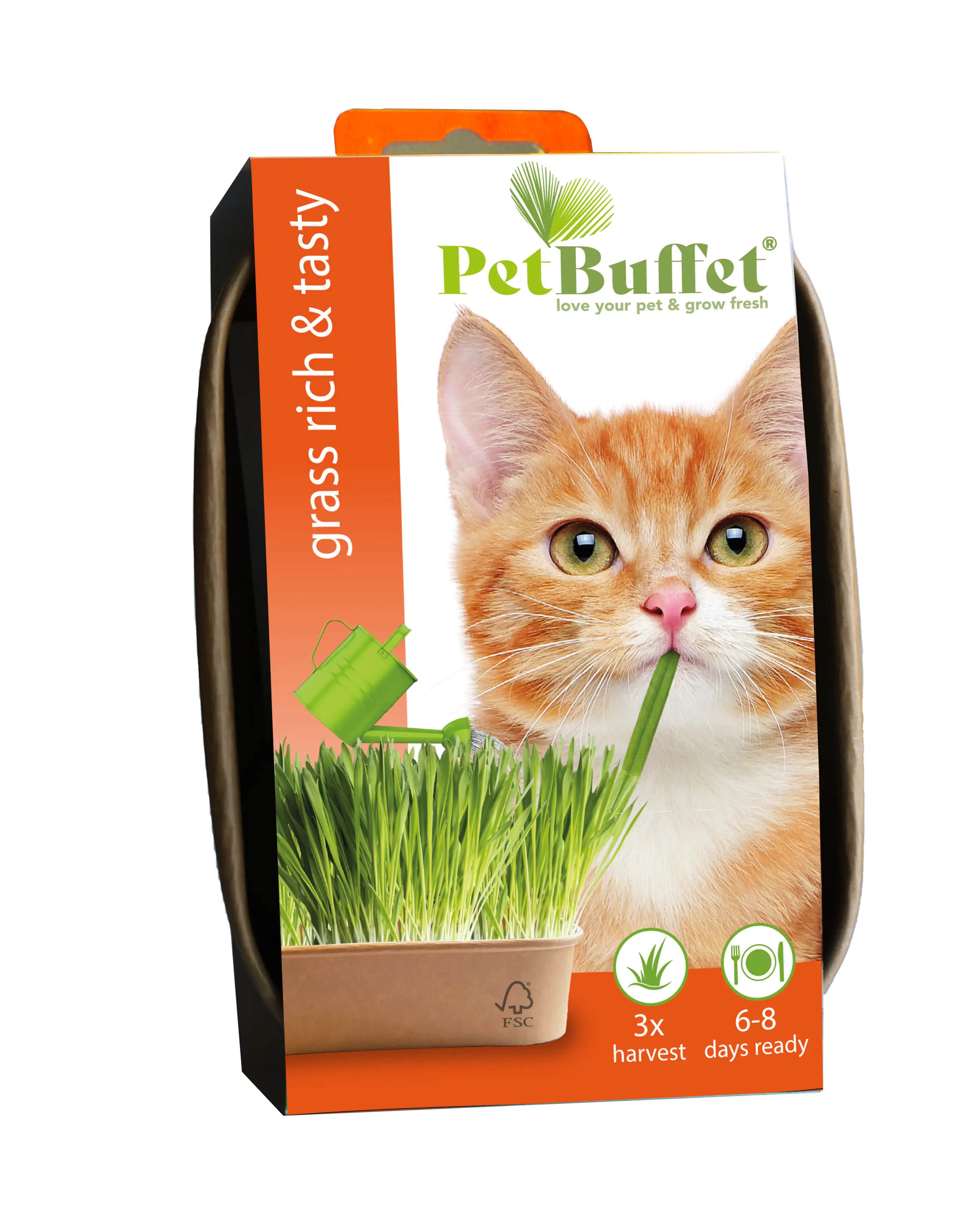 Baza Seeds Pet Buffet Gras Rich & Tasty für Katzen