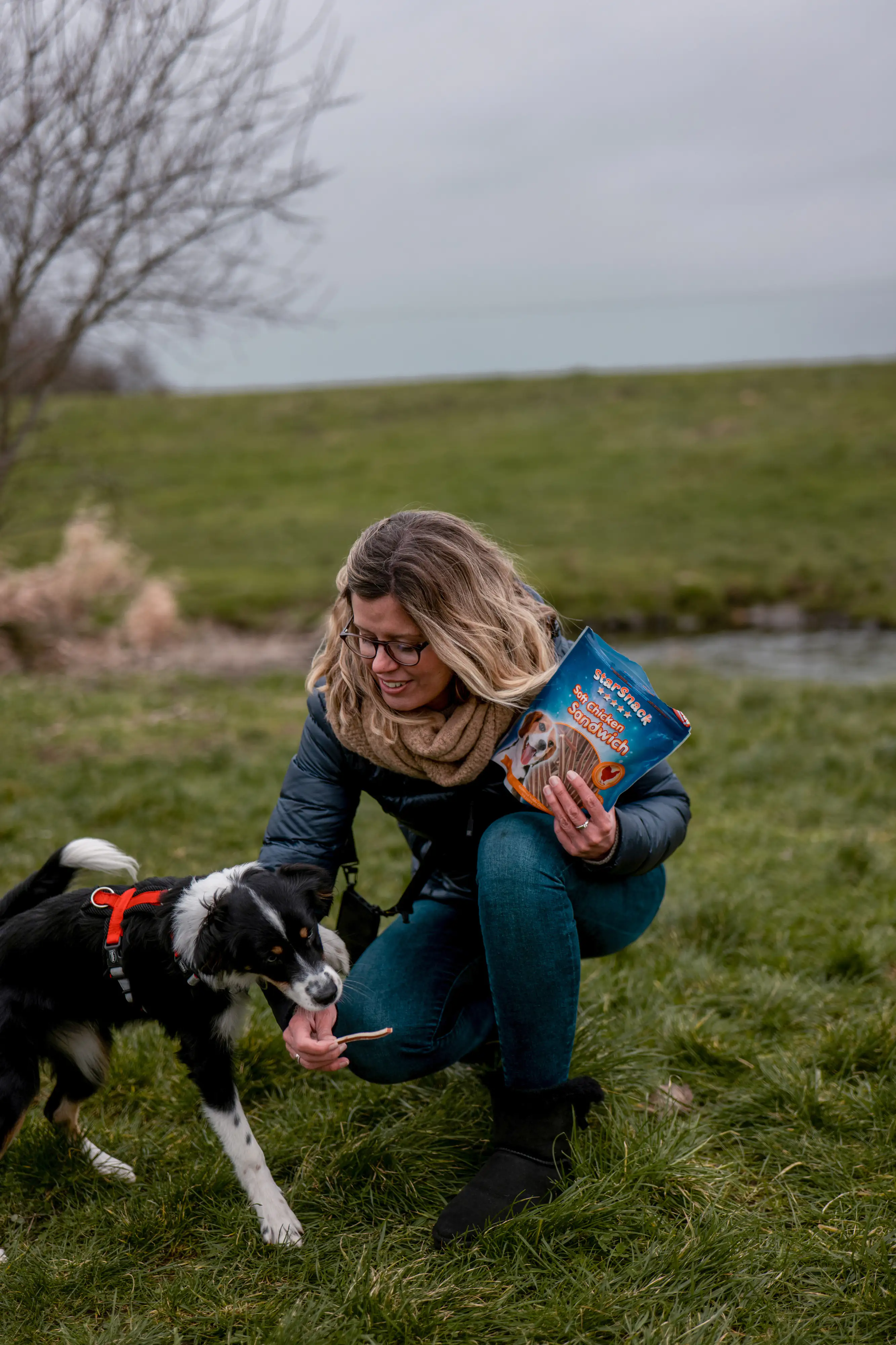 Nobby StarSnack Soft Chicken Sandwich 70 g