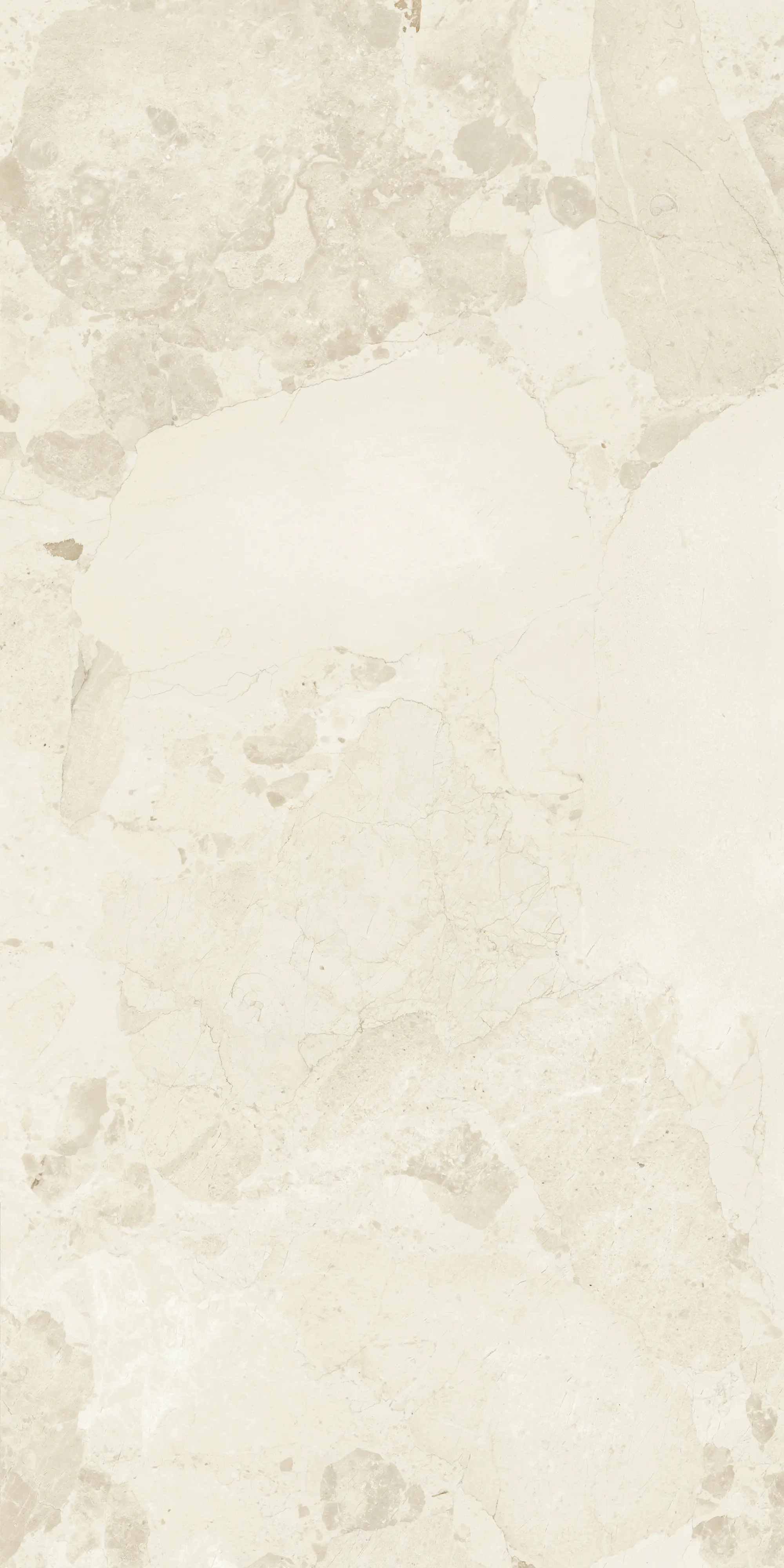 Bodenfliese Feinsteinzeug Coppo di Como 60 x 120 cm beige