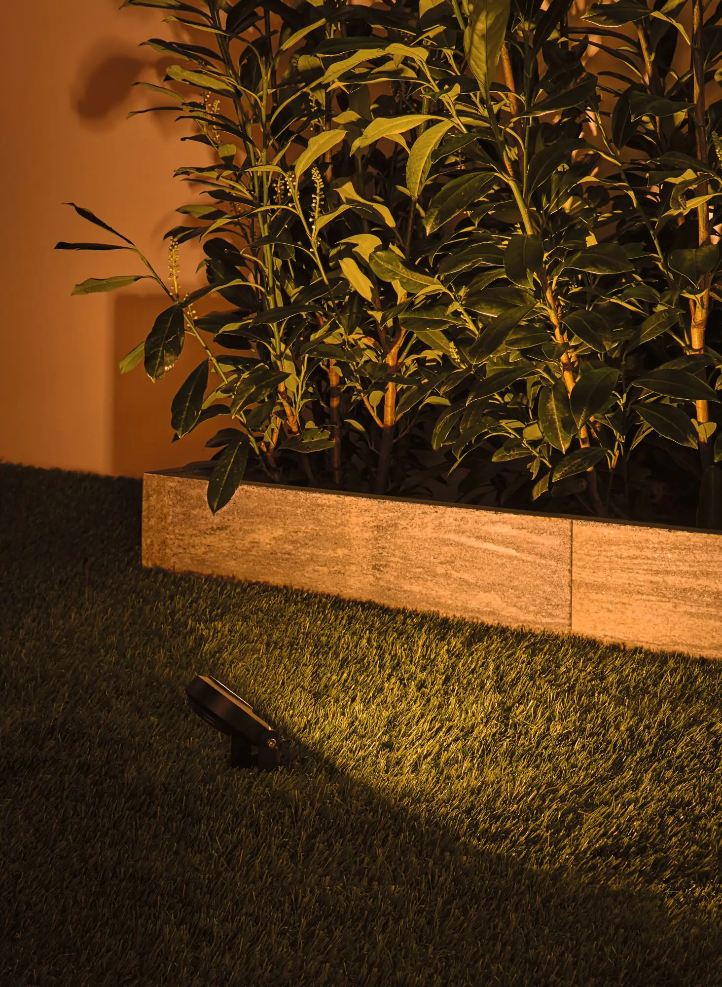 Paulmann Plug & Shine LED Spot Sting insect-friendly anthrazit 3er-Set Paulmann Plug & Shine LED Spot Sting insect-friendly anthrazit 3er-Set
