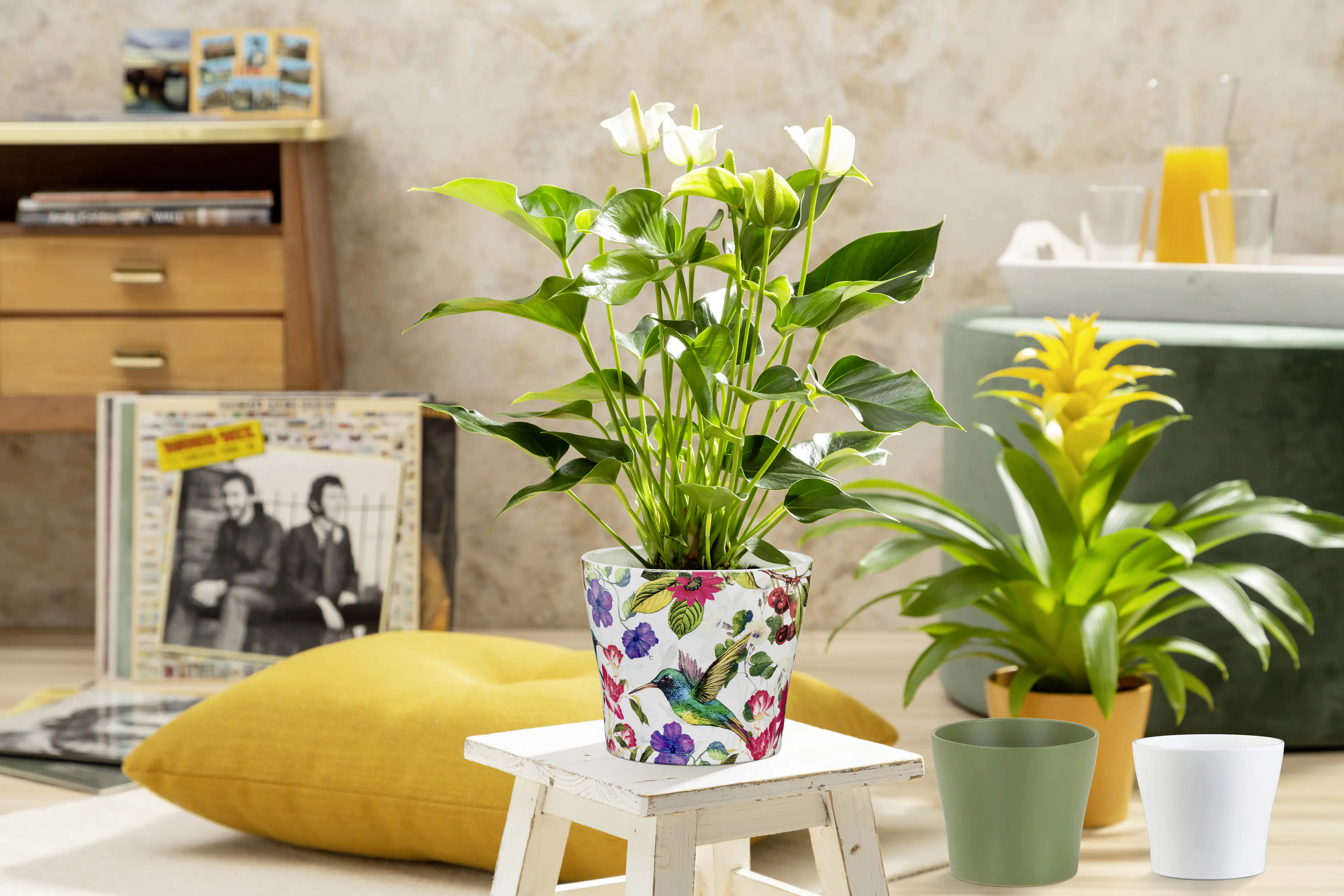 Scheurich Übertopf Serie 808 Ø 19 x 16 cm curcuma