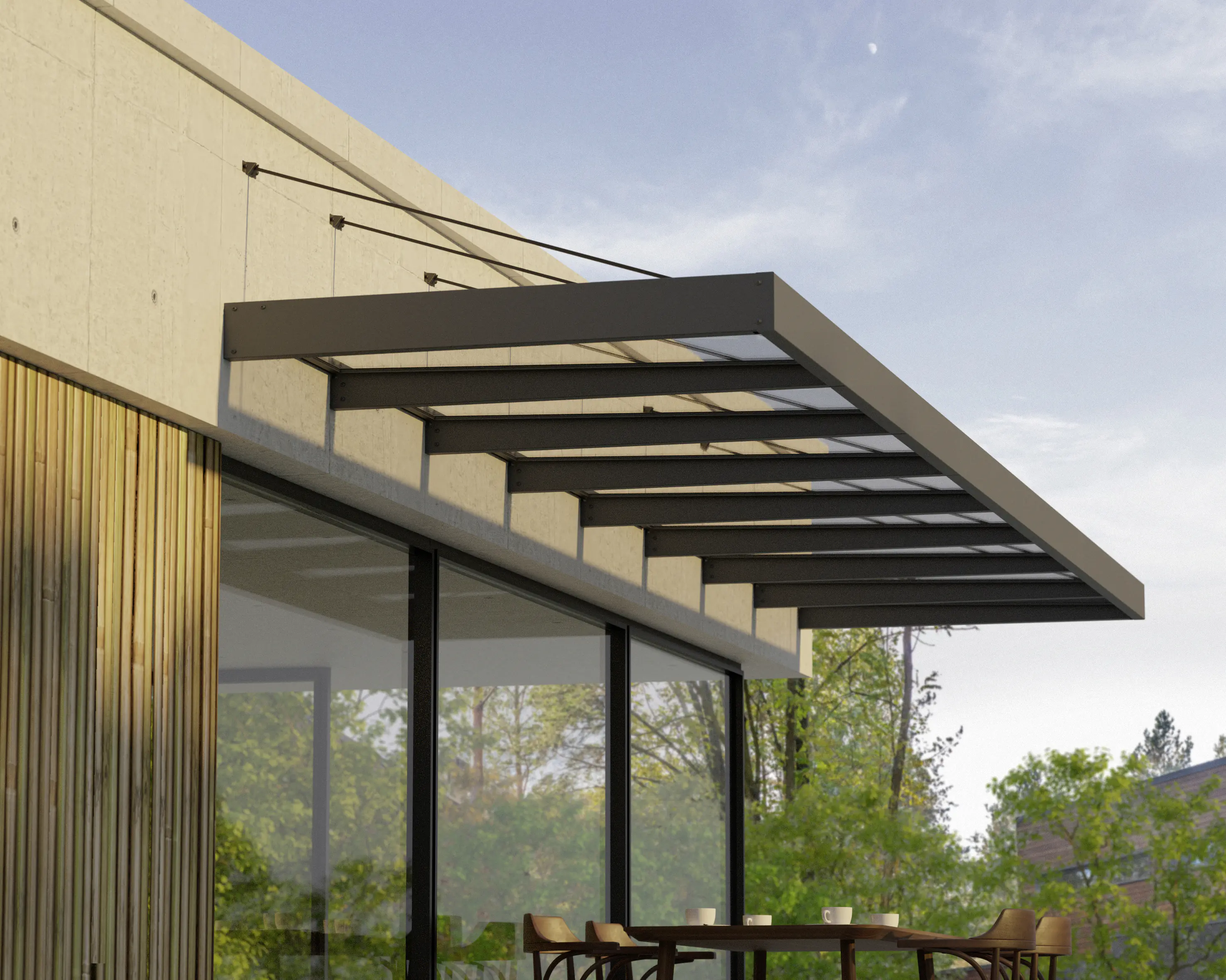 Canopia Vordach Sophia XL 8000 Grau Alu 750 x 140 cm