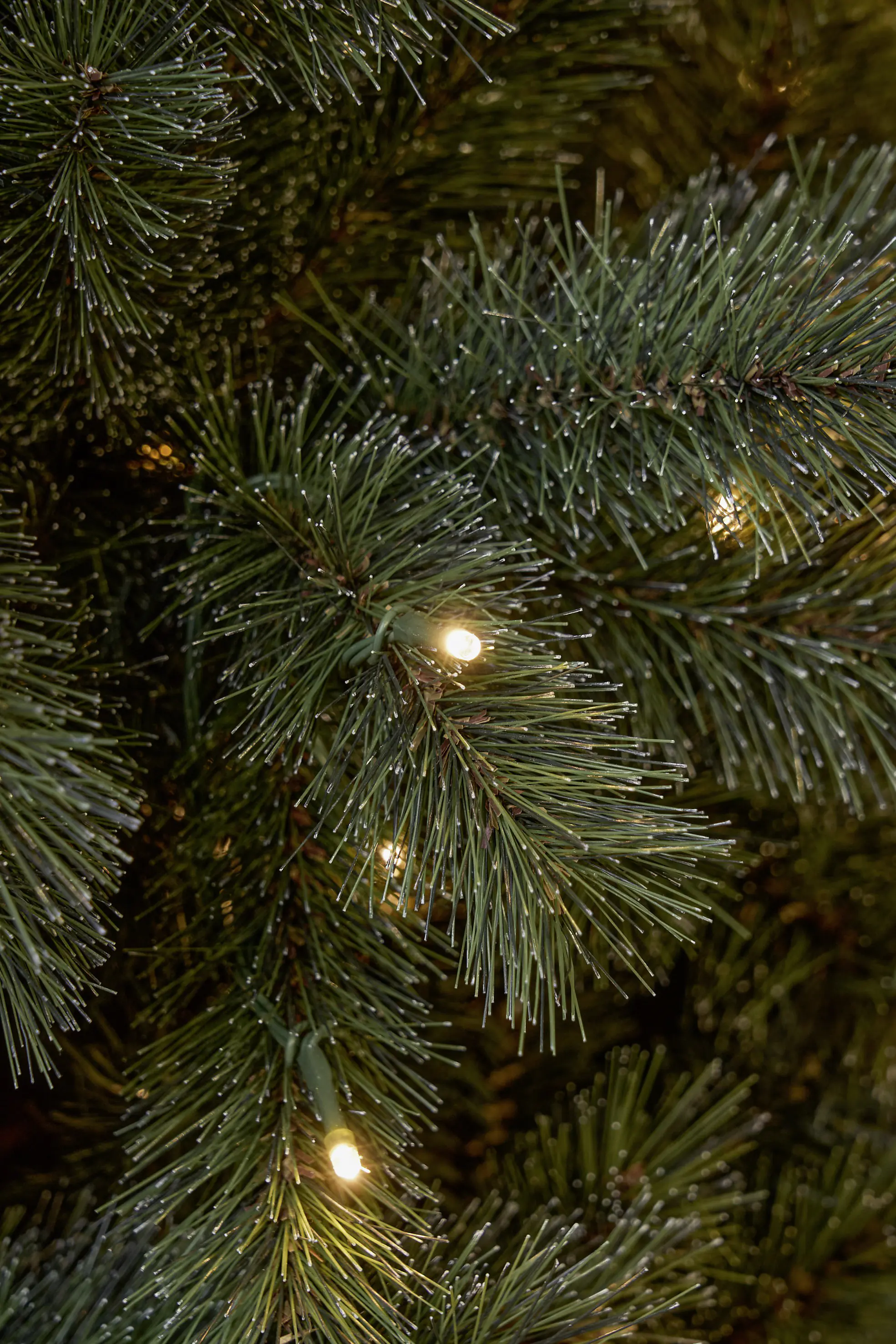 Black Box Trees Weihnachtsbaum Norwood beleuchtet mit Timer 215 cm grün