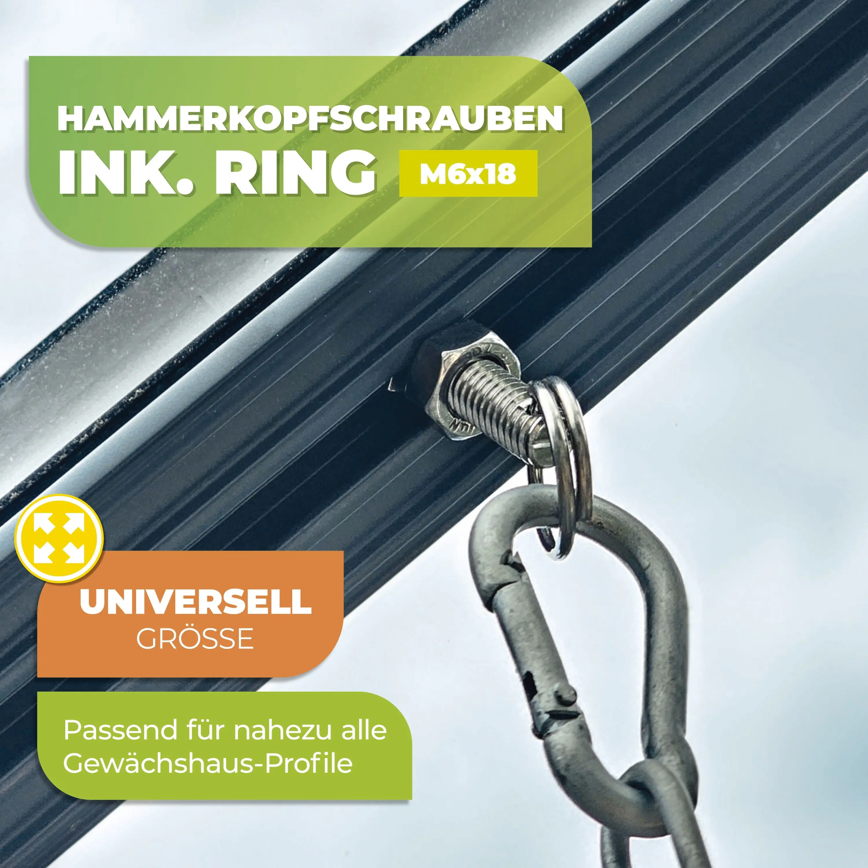 BioGreen Hammerkopfschrauben rostfrei mit Mutter & Ring-Öse M6 x 15 mm – 5 Stück Edelstahl
