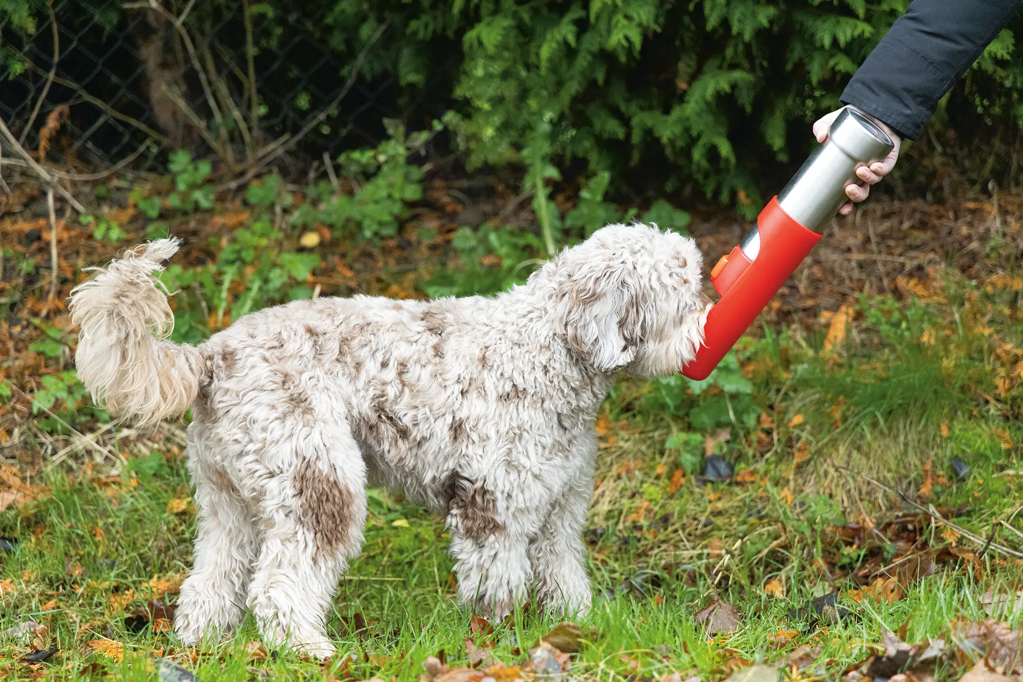 Beeztees Hundetrinkflasche Loe Edelstahl 532 ml Beeztees Hundetrinkflasche Loe Edelstahl 532 ml