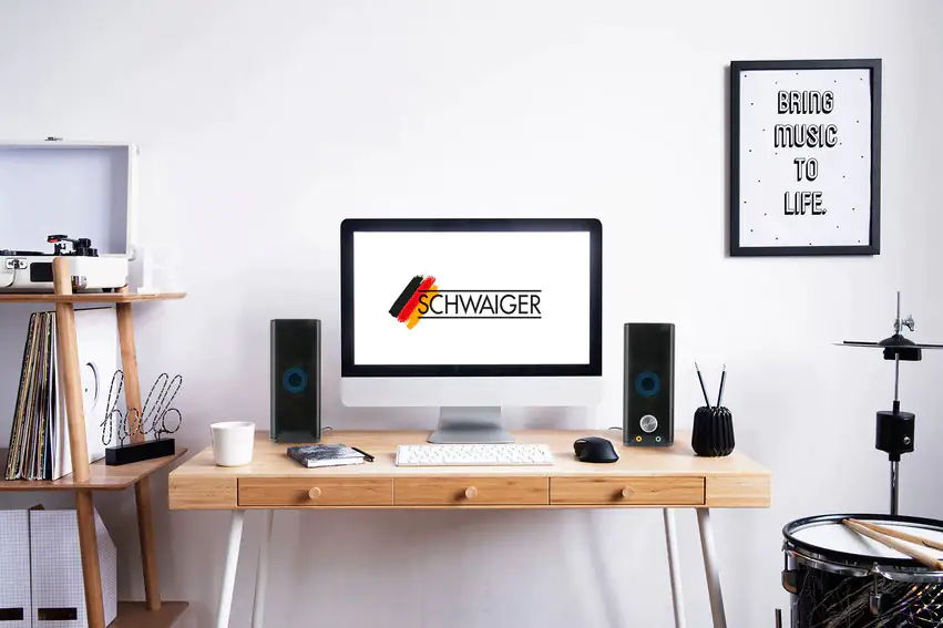 Schwaiger Bluetooth Lautsprecher Lichteffekte USB 2.0 A, 4x Klinkenstecker, schwarz