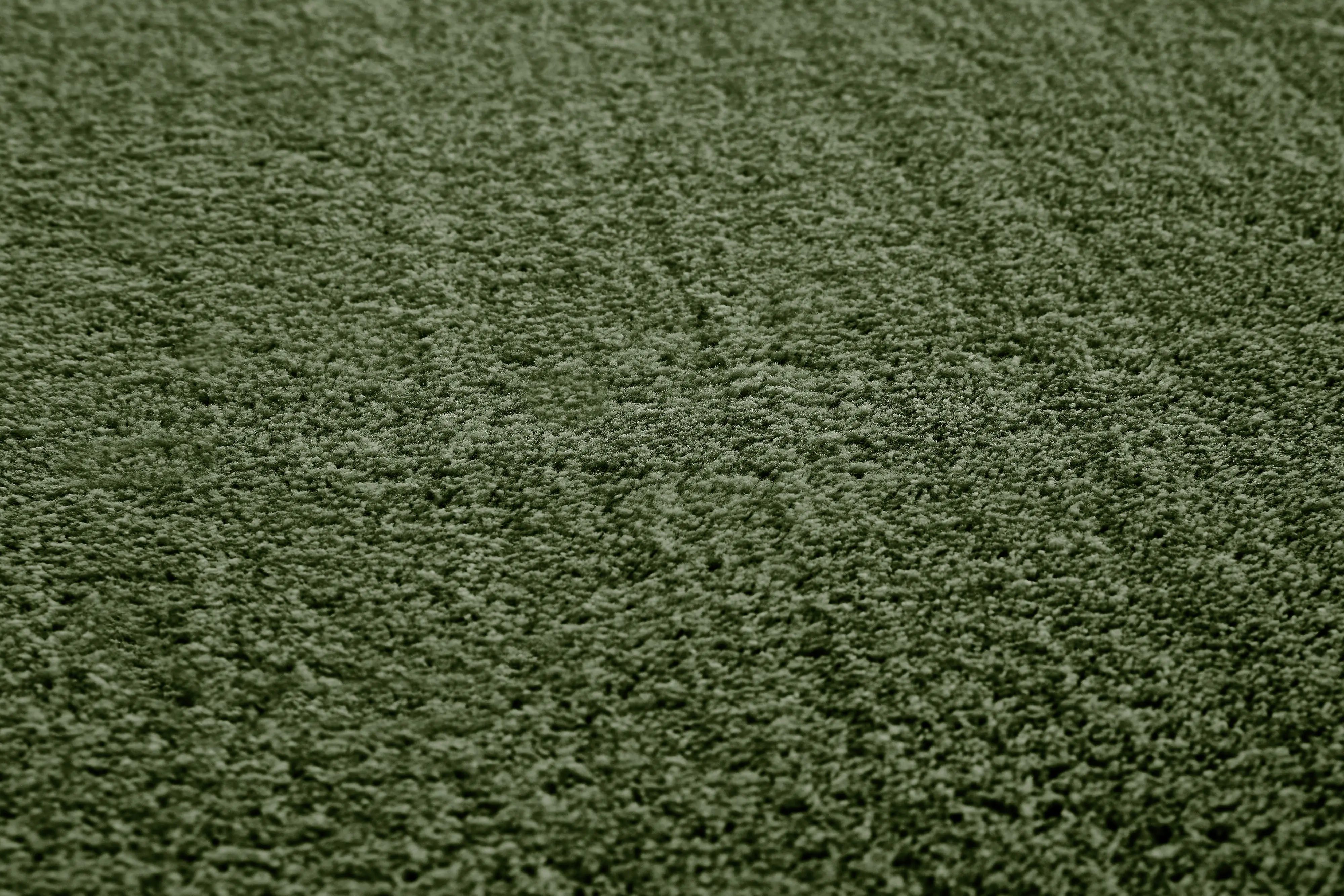 Flachwebteppich Bartolo 120 x 170 cm waldgrün