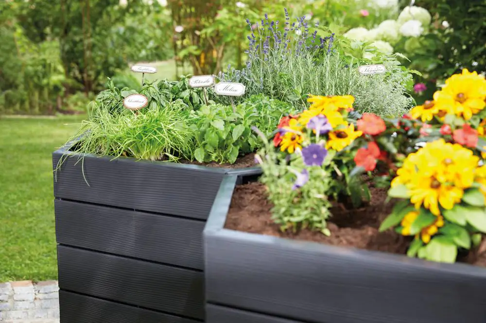 Garantia Ergo Hochbeet 25 cm 25 x 55 cm Garantia Ergo Hochbeet 25 cm 25 x 55 cm