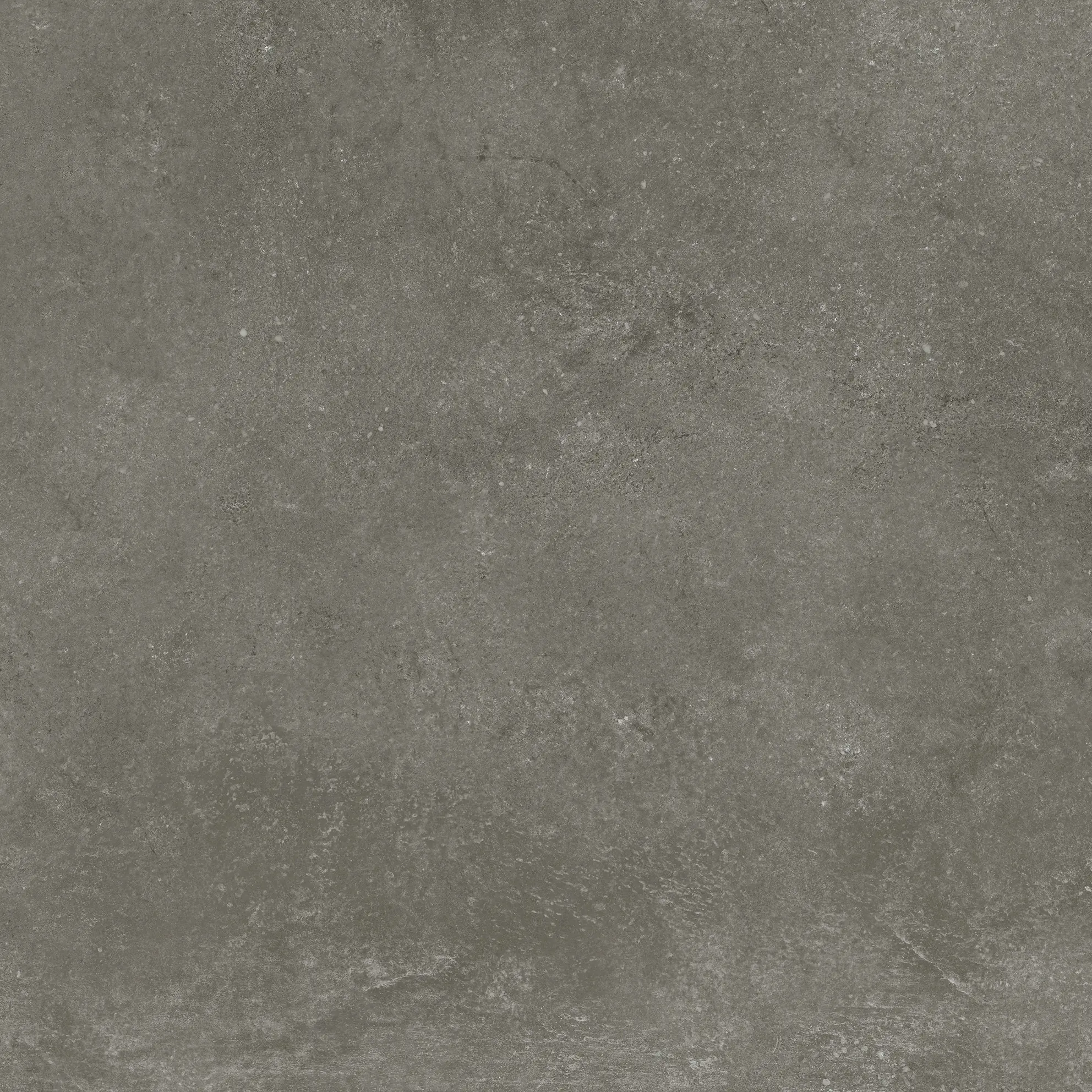 Bodenfliese Feinsteinzeug Modern Concrete 60 x 60 cm graphit 