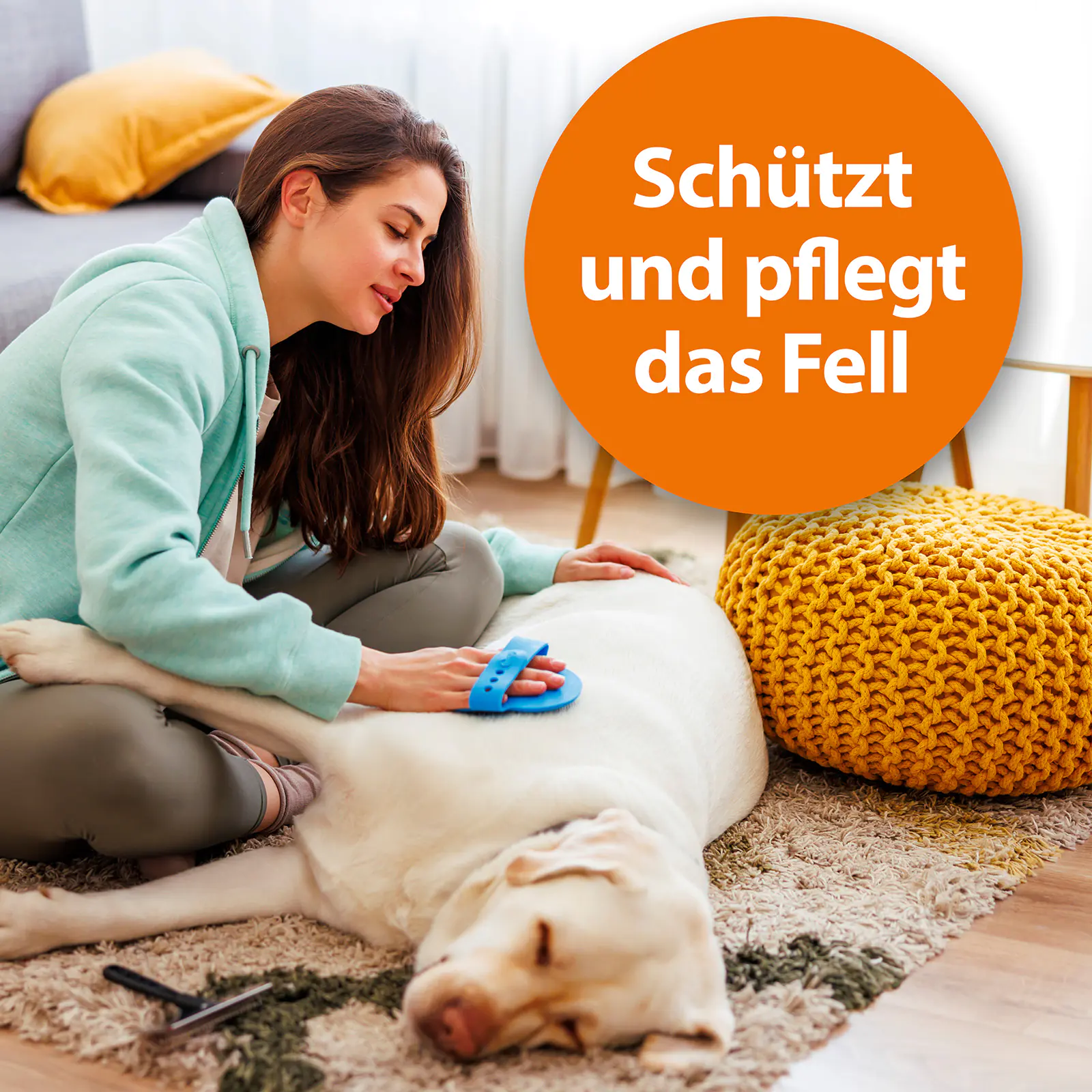 ARDAP Anti Zecken-Shampoo für Hunde 250 ml ARDAP Anti Zecken-Shampoo für Hunde 250 ml