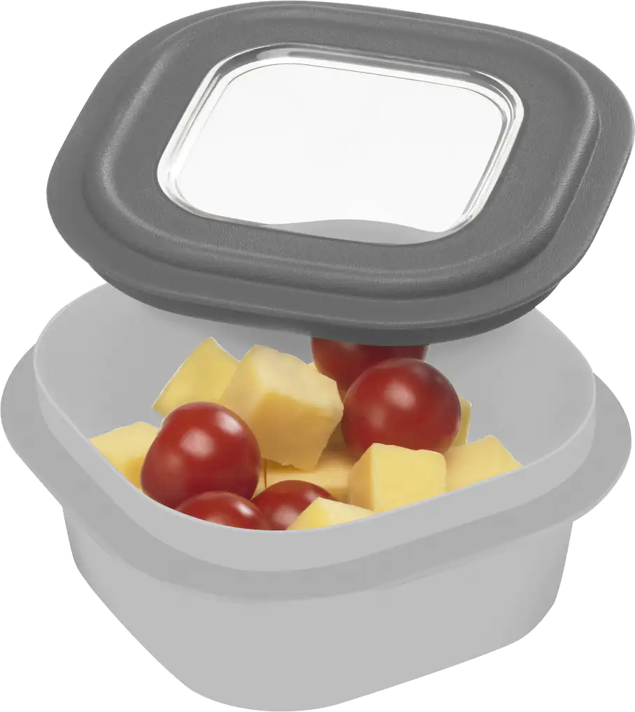 Sunware Frischhaltedose Sigma Home 0,5 L grau