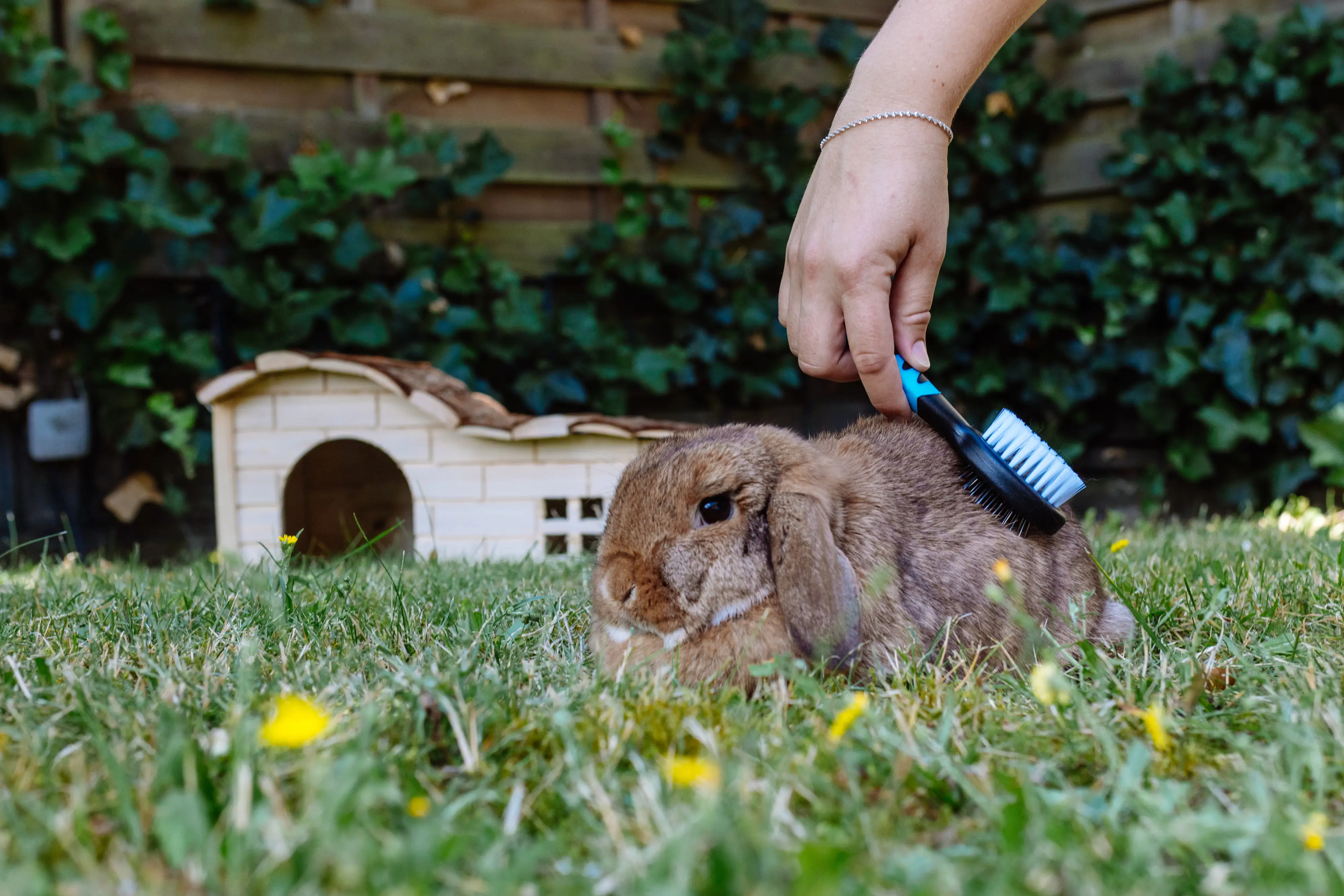 Nobby Comfort Line Bürste zweiseitig Nager mini 12-14 cm