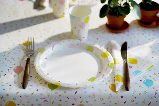 Duni Pappteller ø 22 cm beschichtet 10 Stück