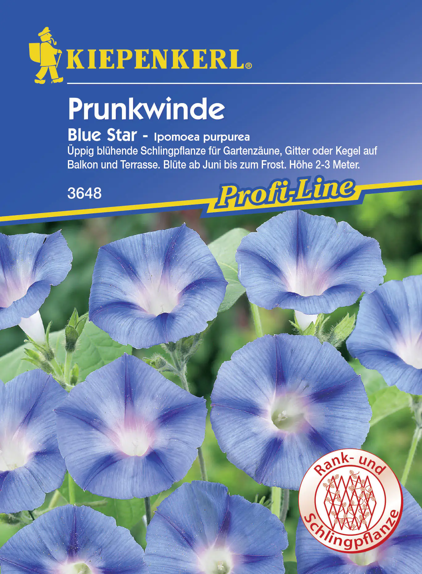 Kiepenkerl Prunkwinde Blue Star Ipomoea purpurea, Inhalt: ca. 20 Pflanzen