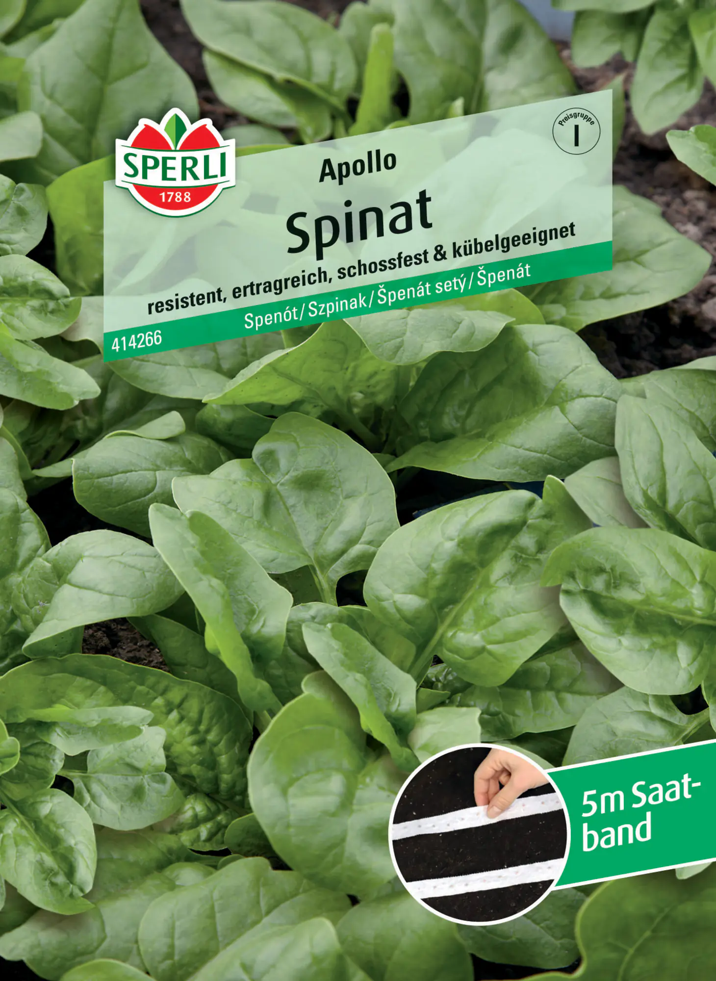 Sperli Spinat Apollo F1 Saatband