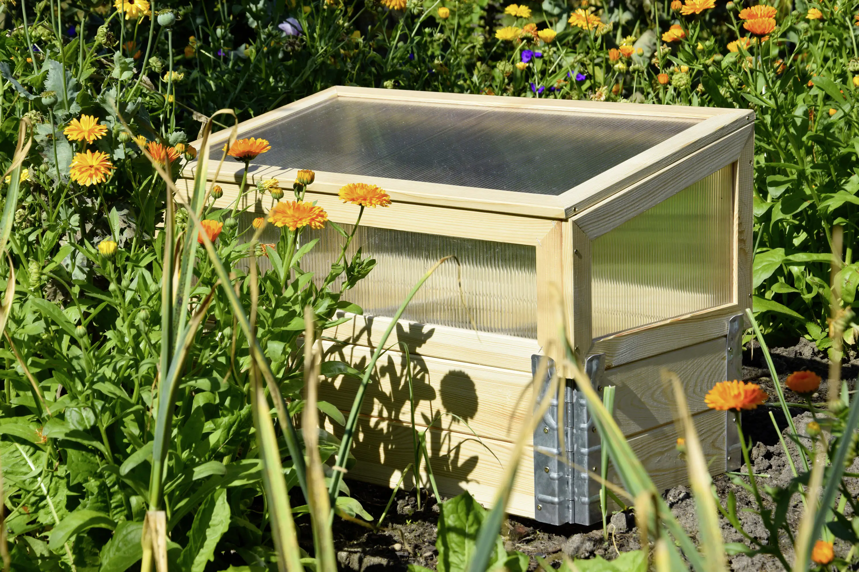 4055894584132_3169871 Dobar Frühbeet mit Untersatz transparent Kiefer 76 x 40 x 50 cm