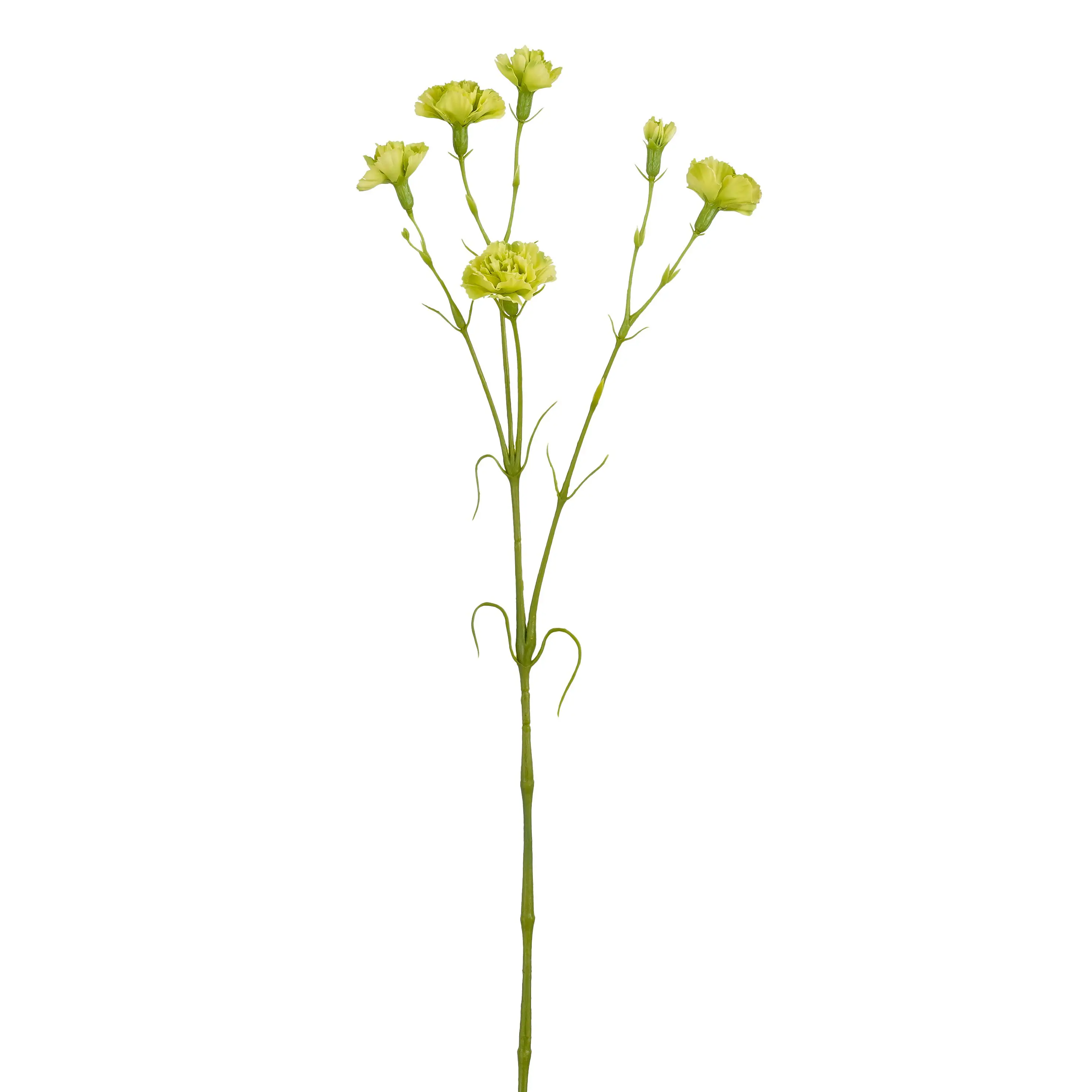 Mica Decorations Kunstpflanze Nelke grün 66 cm