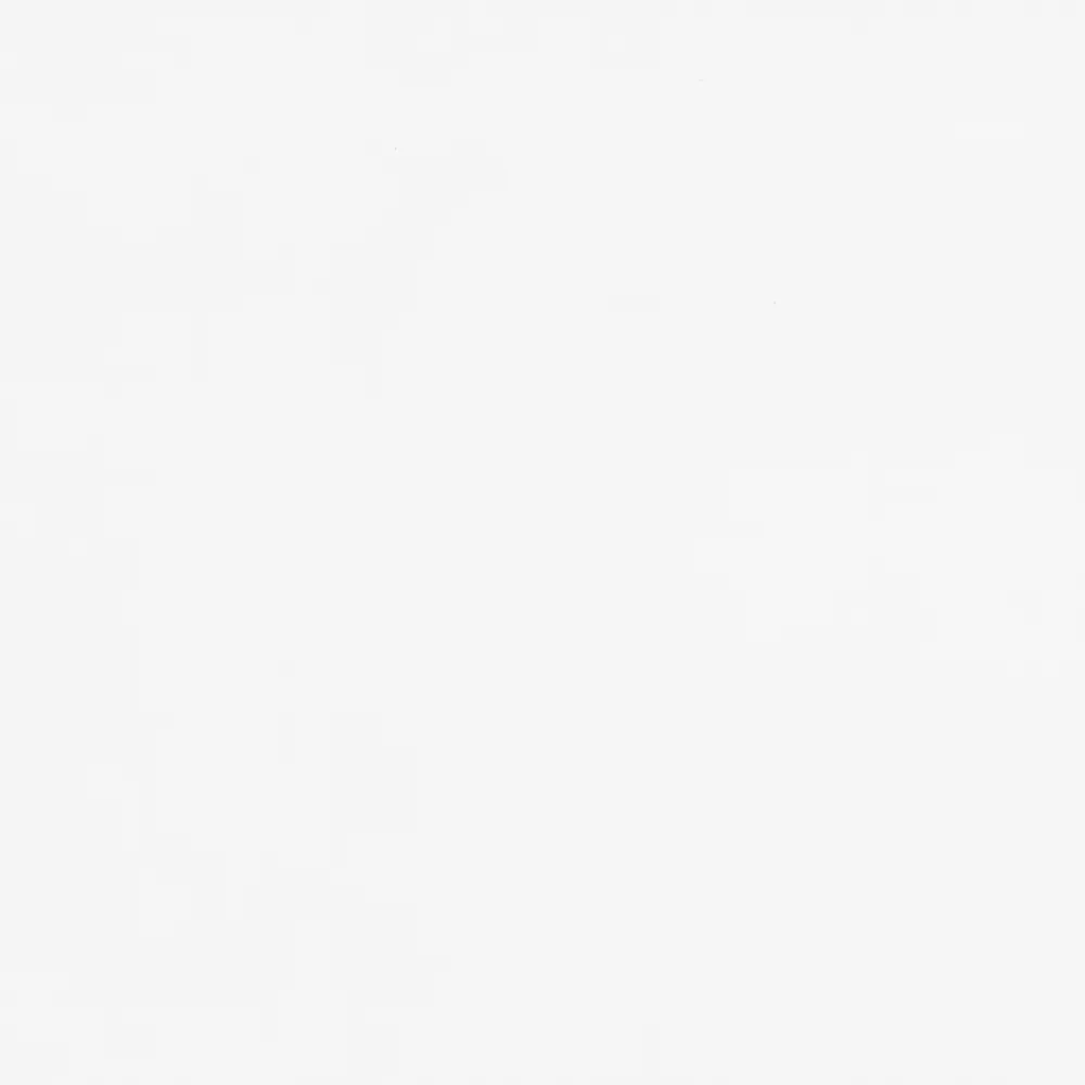 FN Neuhofer Winkelleiste 240 cm 28 x 28 mm Fichte/Kiefer