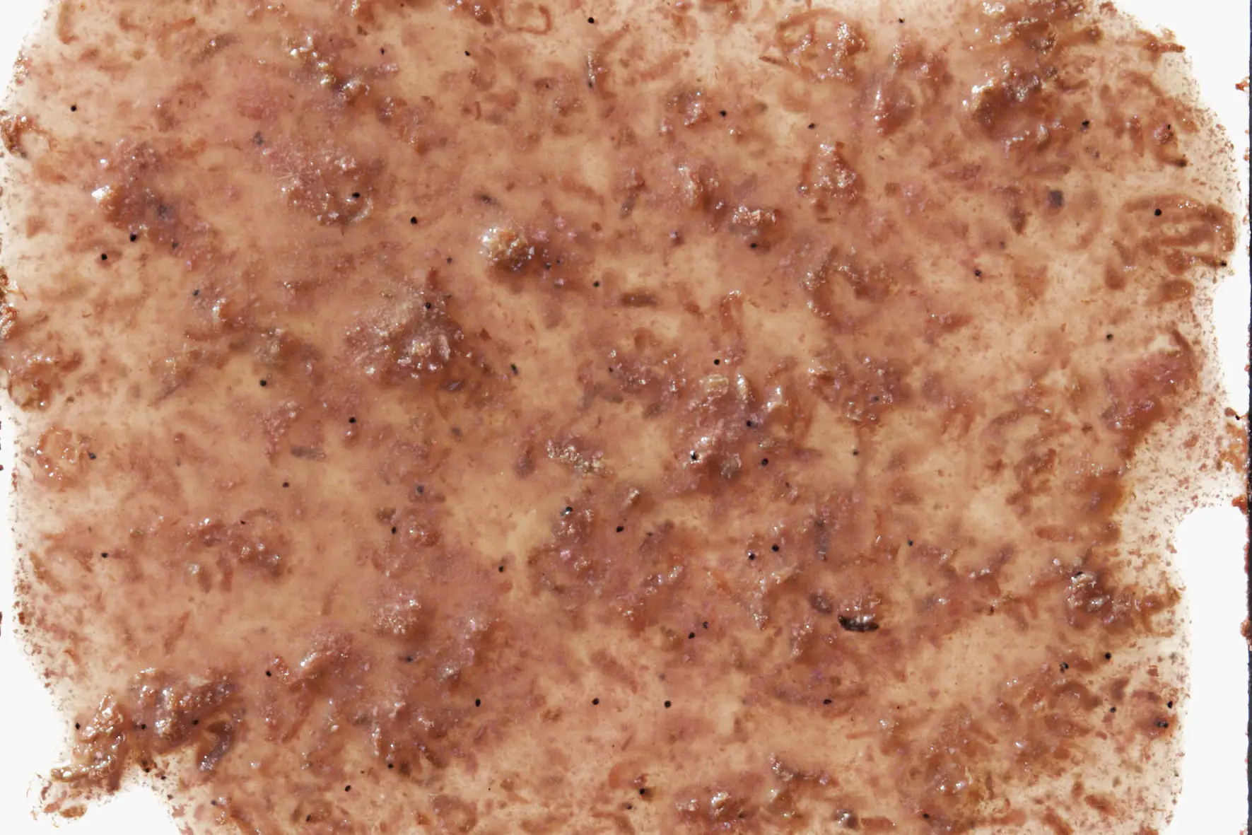 Tetra FreshDelica Krill 48 g